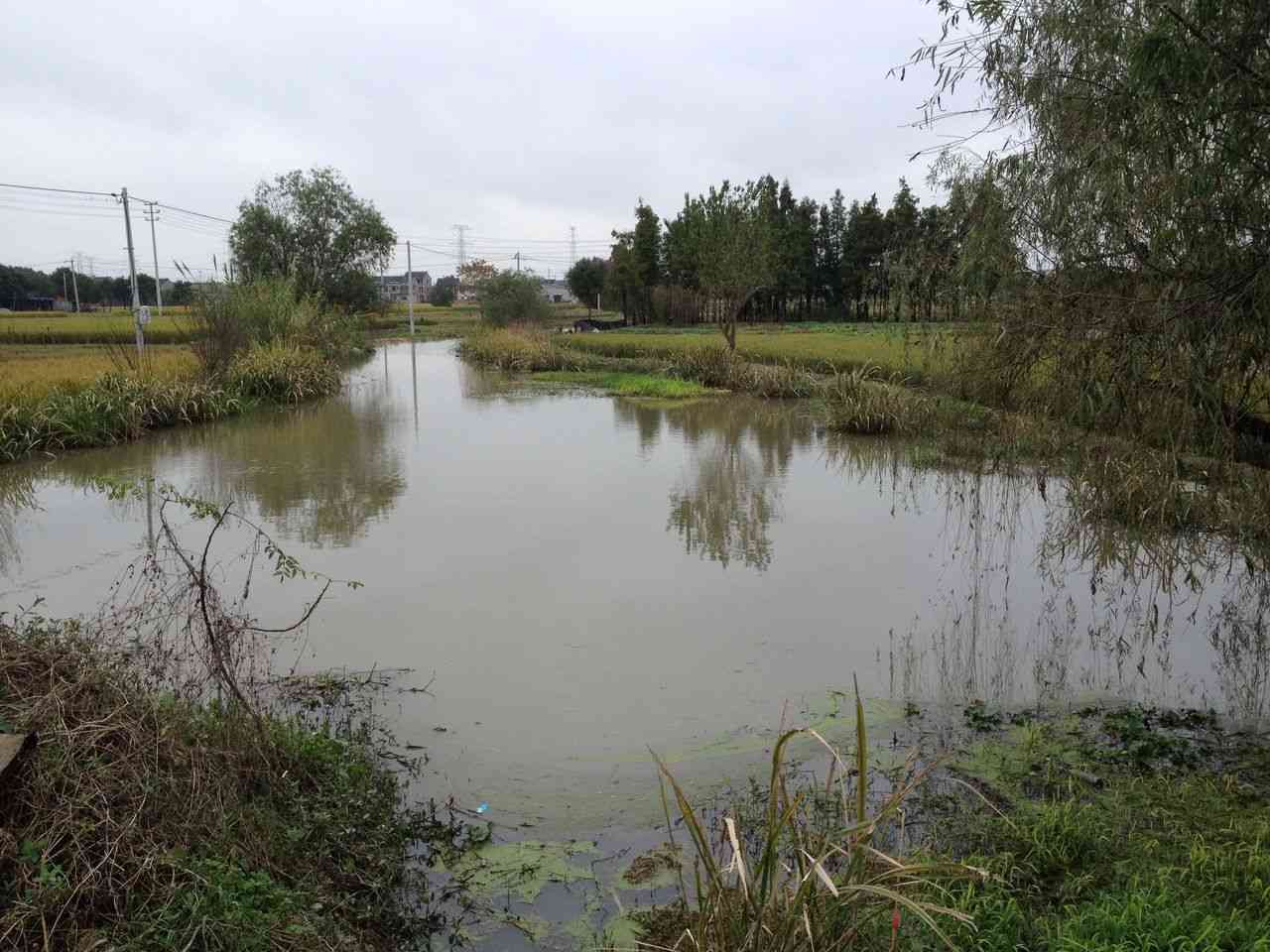 东河沿河