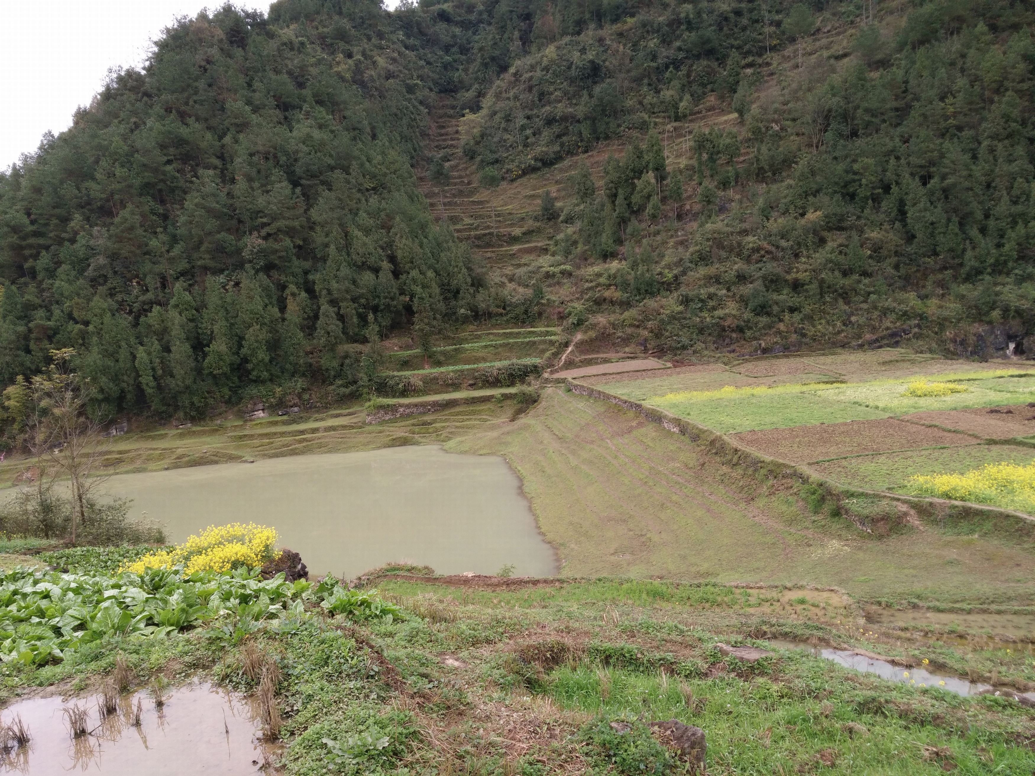 铜山水库