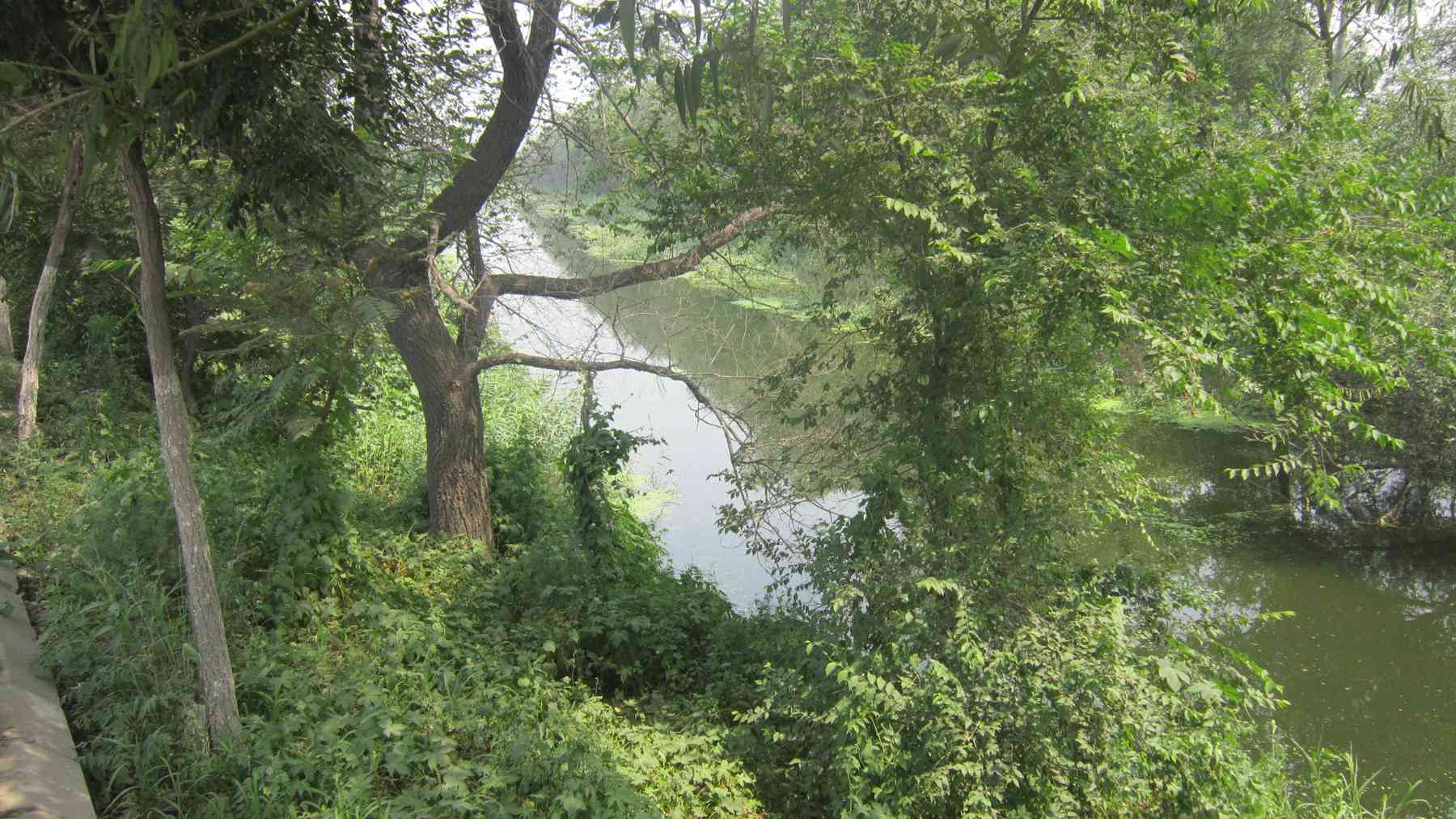 范庄圈河