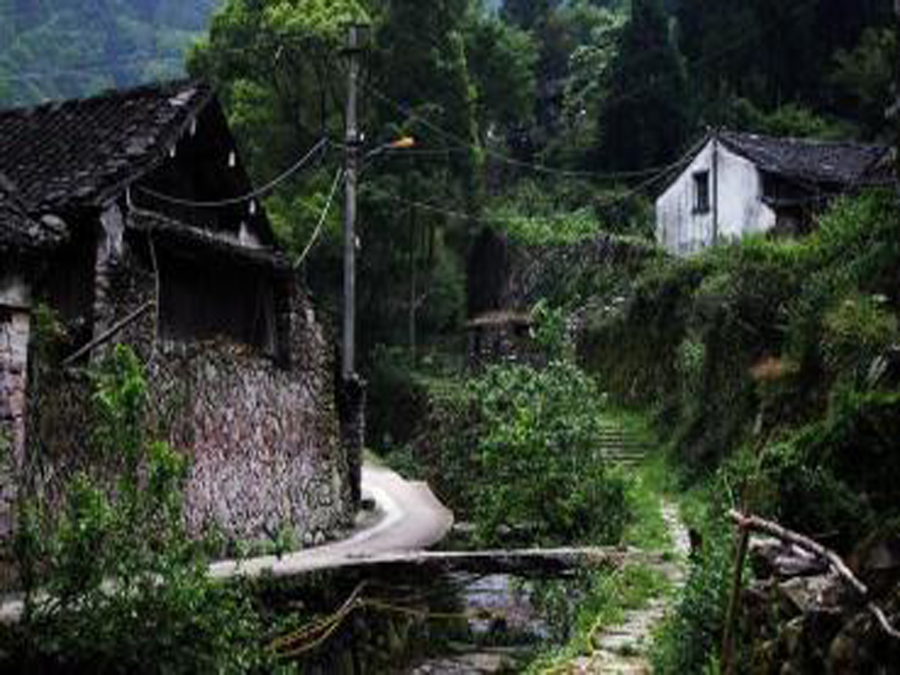 黄檀洞景区