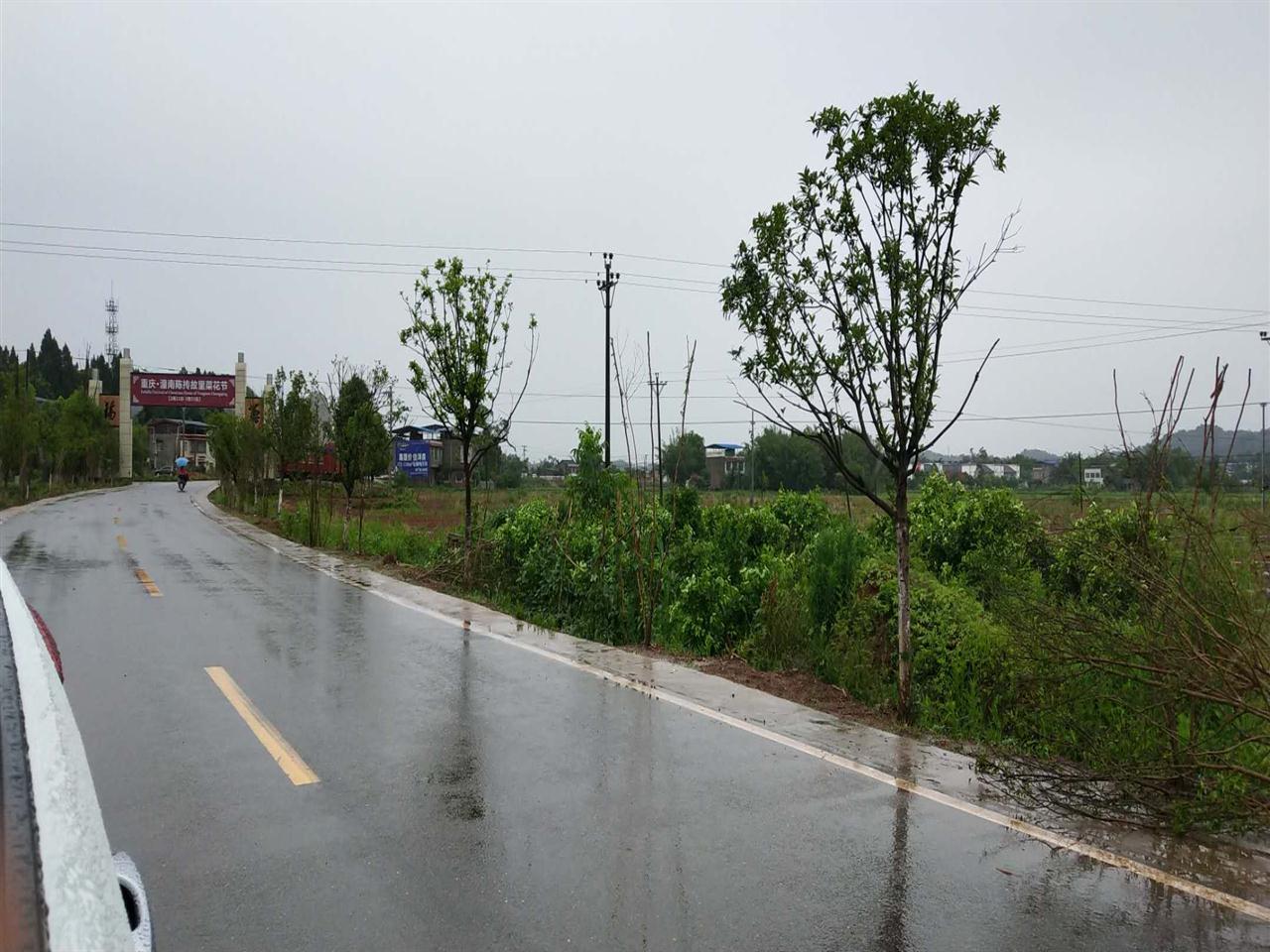 陈抟故里崇龛花海景区