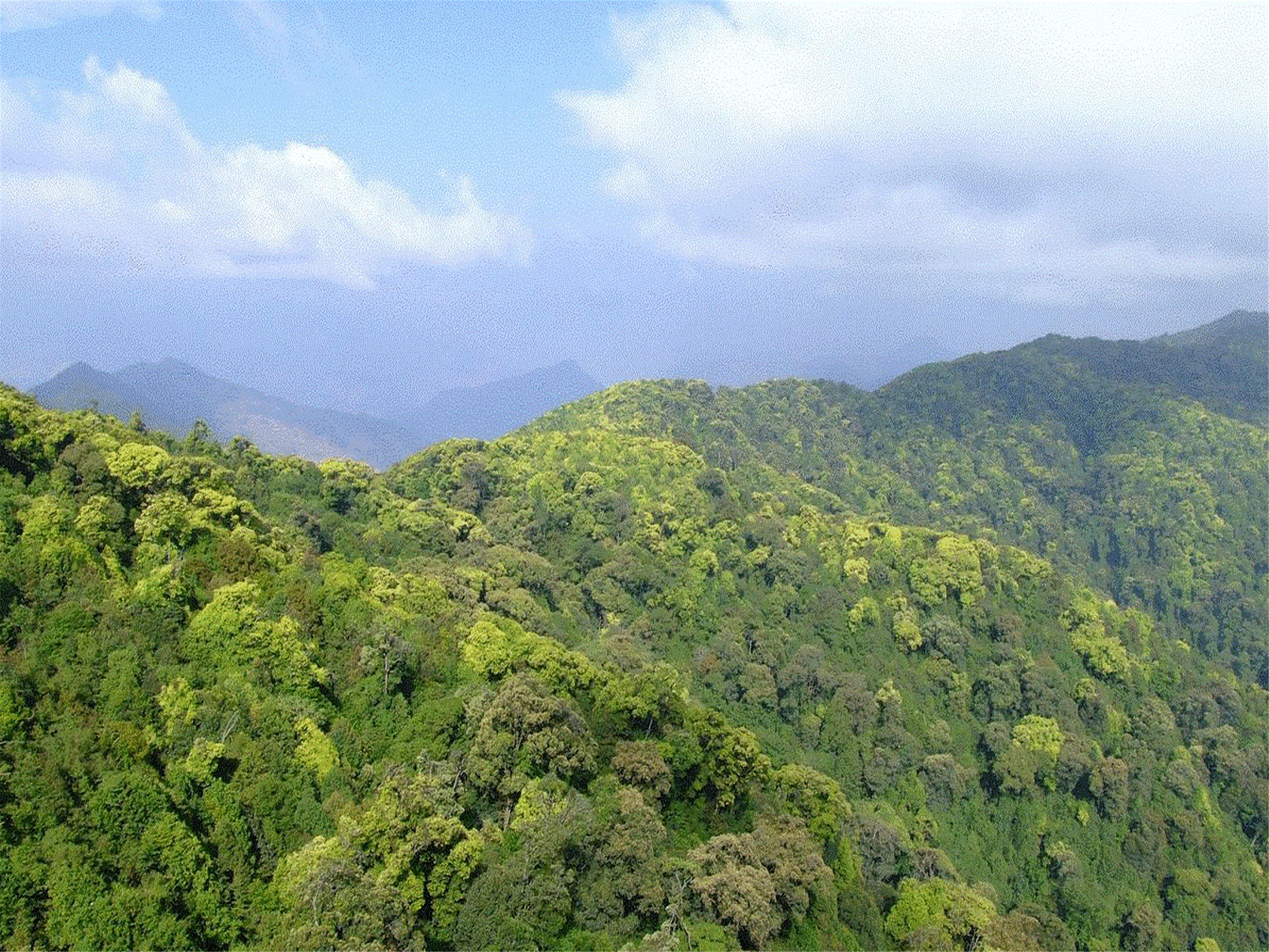 无量山自然保护区