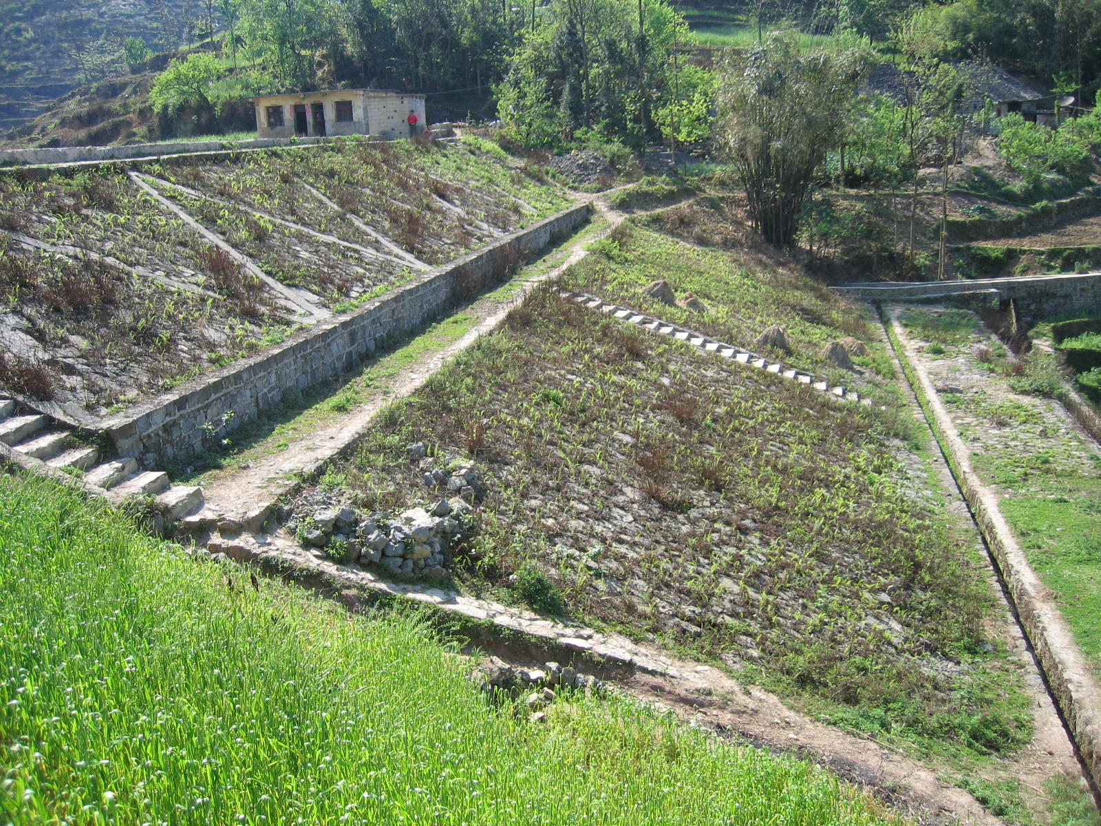 胡家坡水库