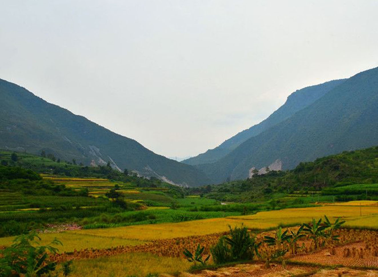 双柏县白竹山州级自然保护区