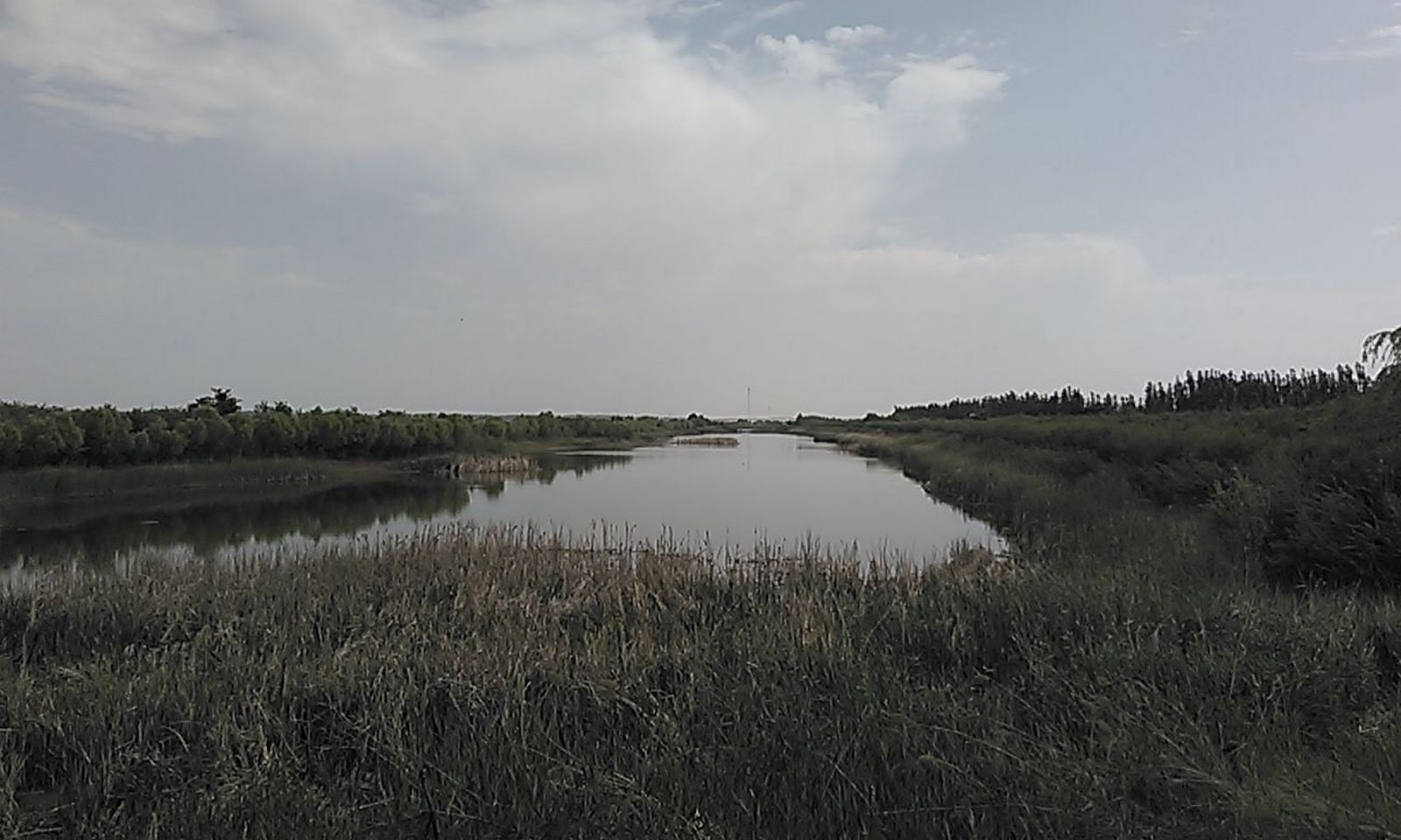 贺兰县滨河湿地公园自然保护区