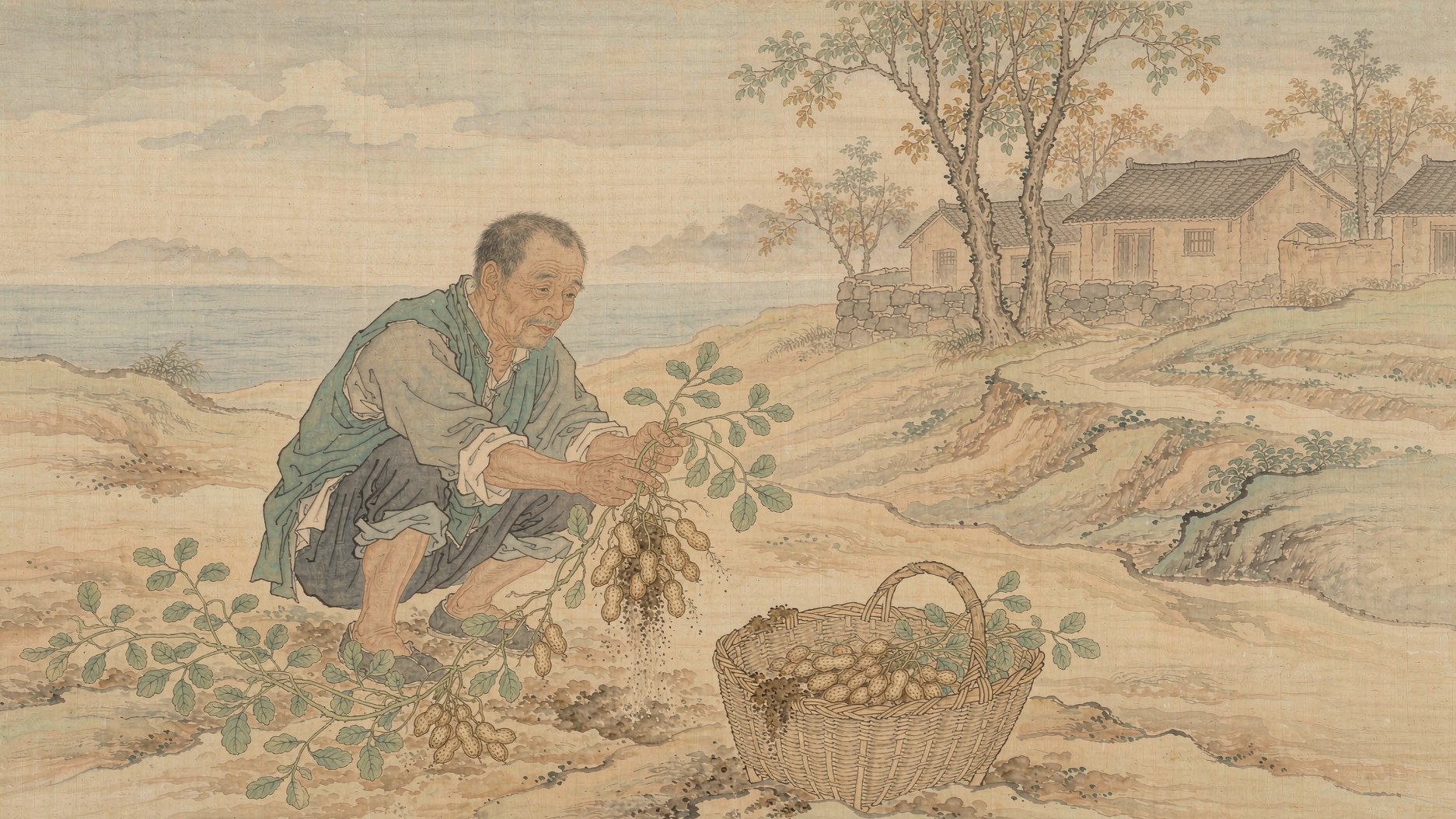 花在枝上开,果往土里钻,花生为什么叫落花生?