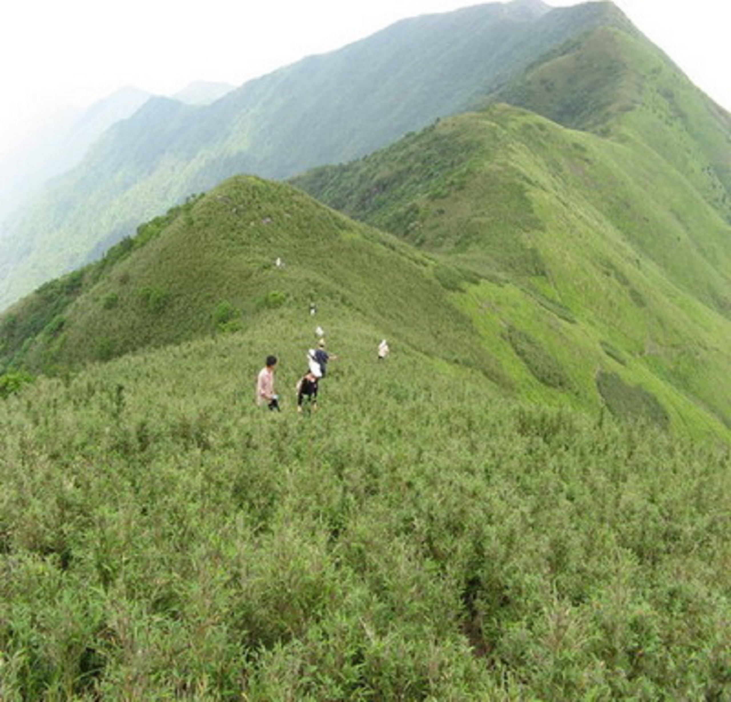 南风面自然保护区