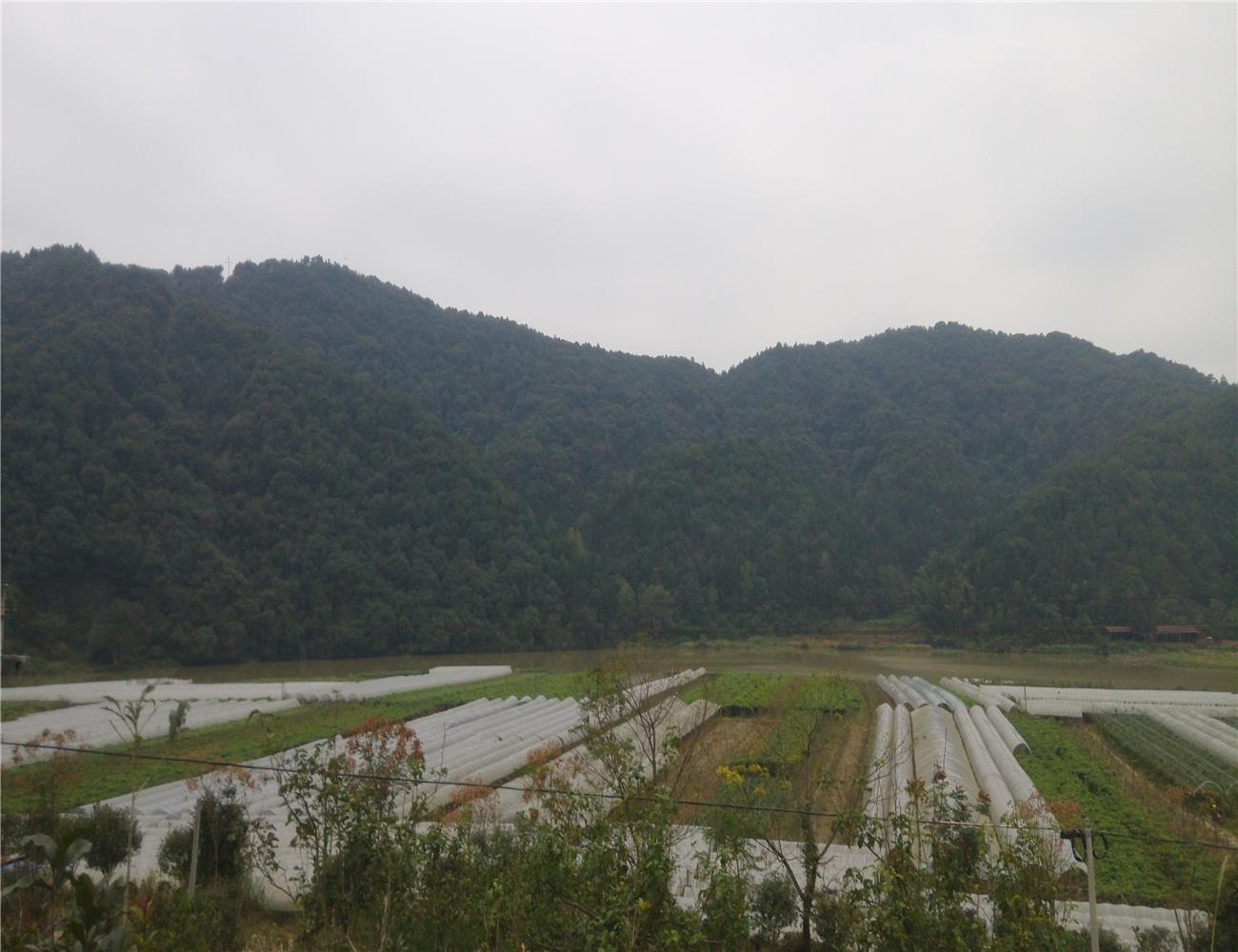 考亭村河湾