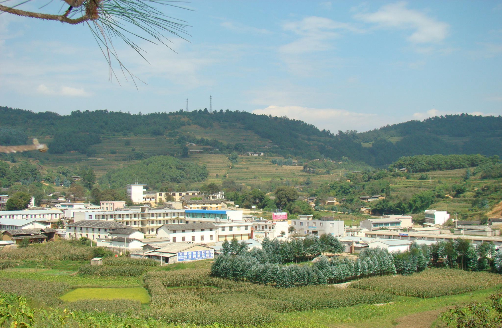 观音阁乡