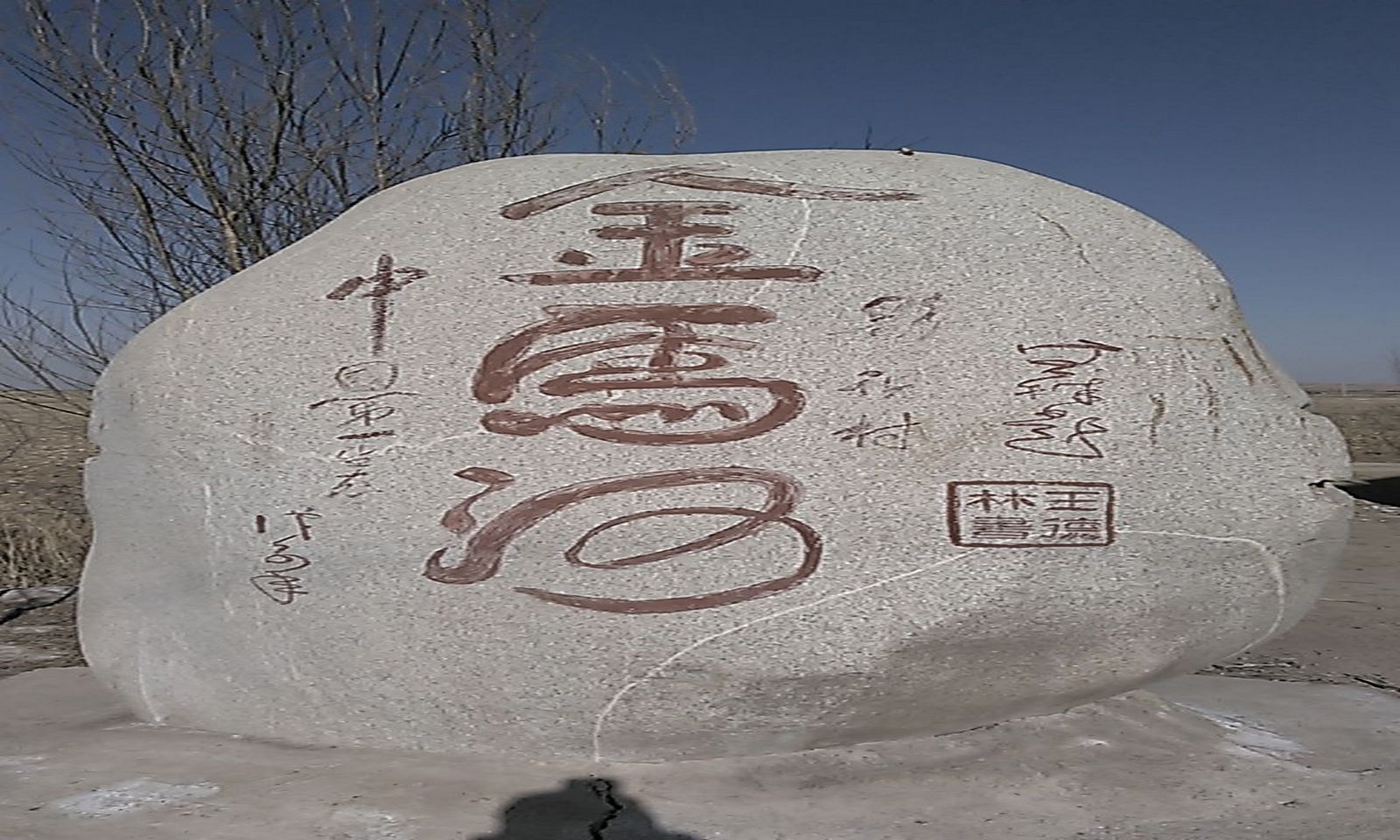 宁夏金马河黄河湿地公园