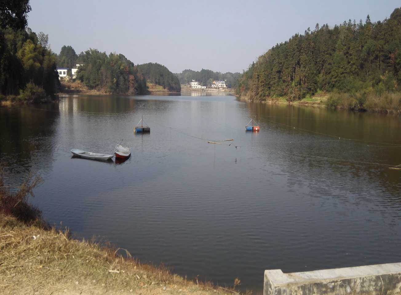 鸿富村荷塘水库