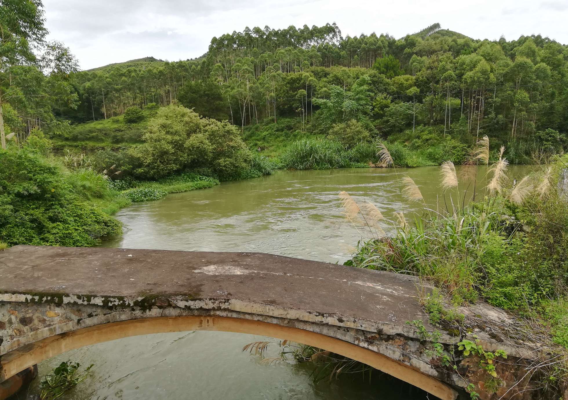 马东冲