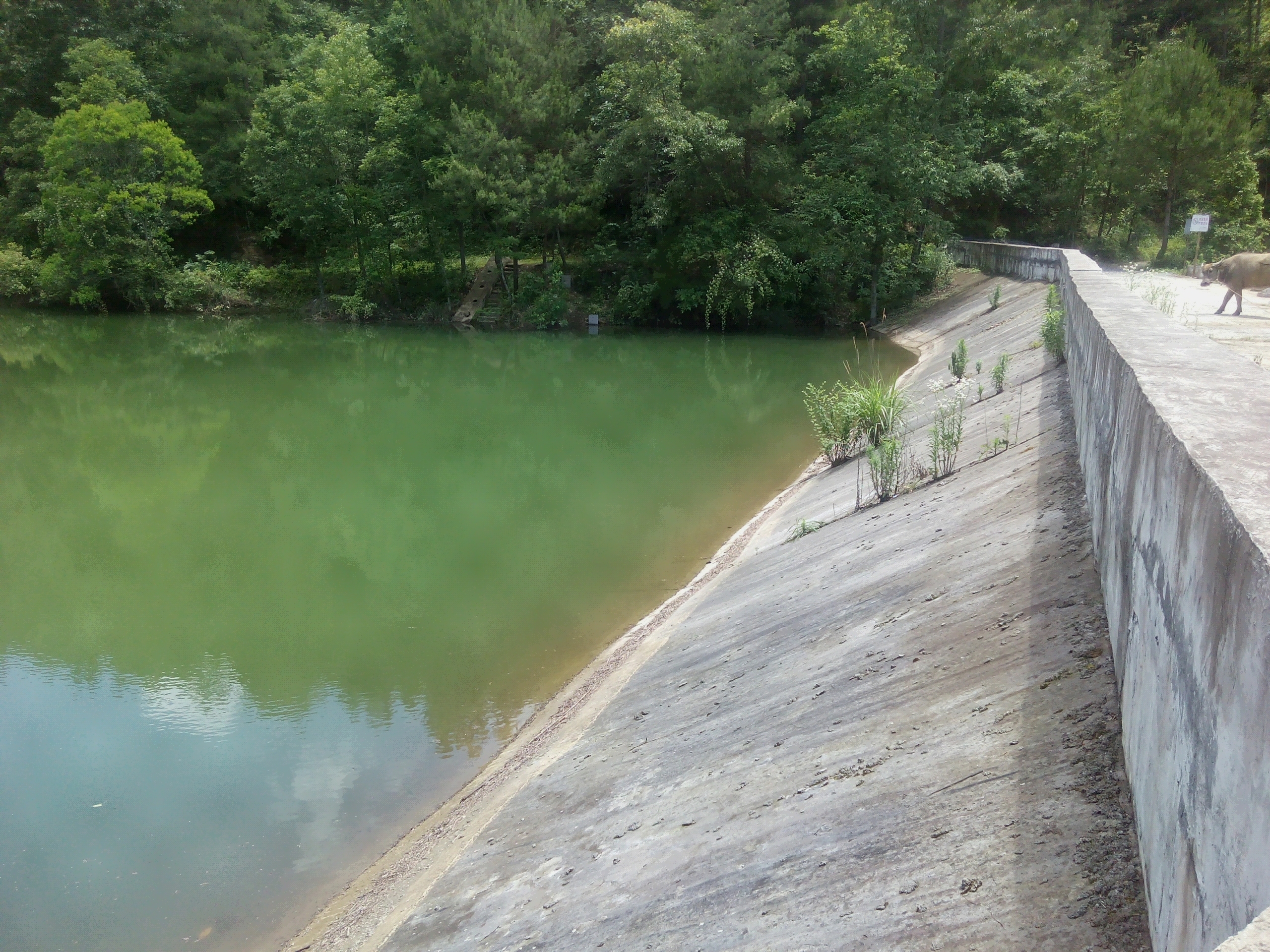 甲马石水库