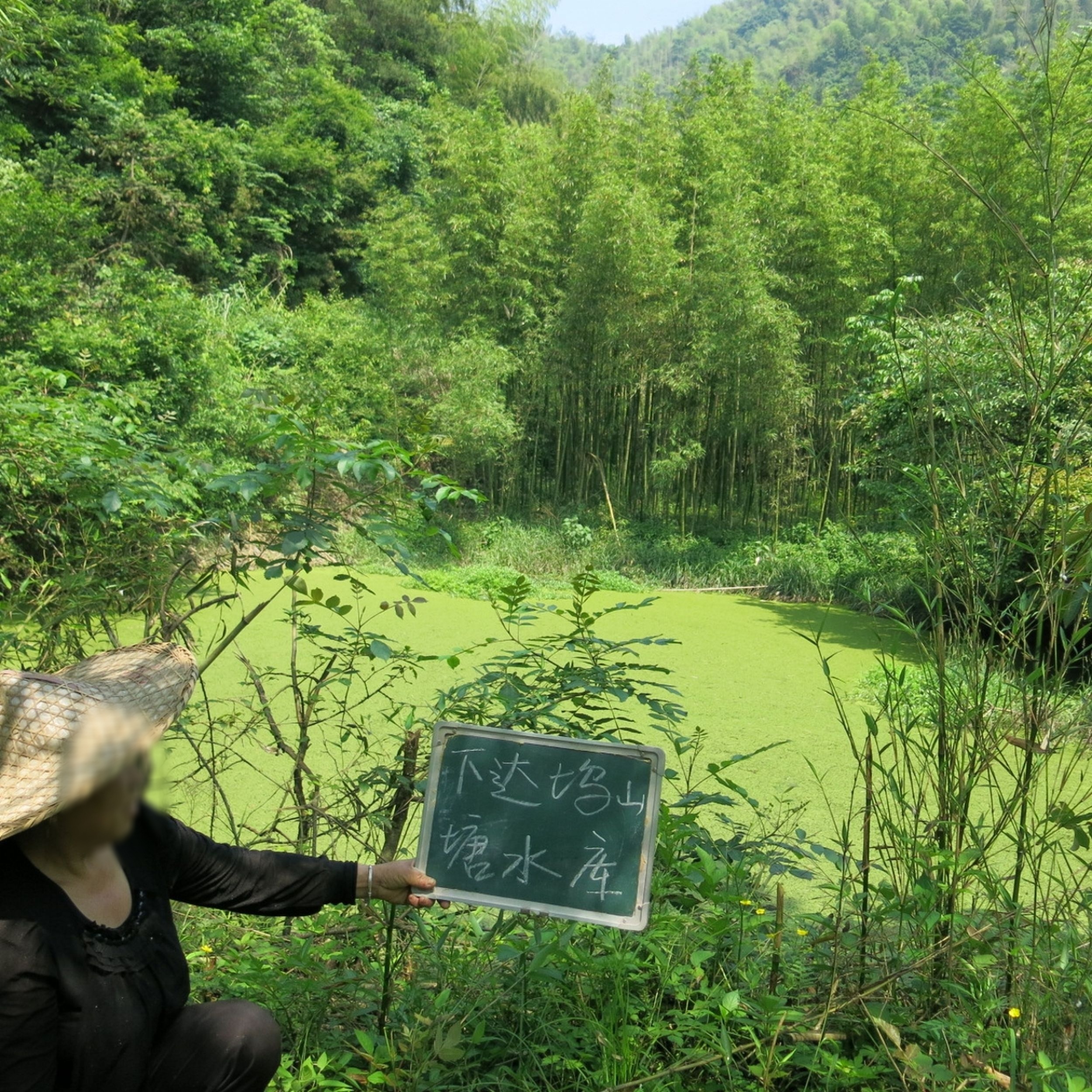 下达坞山塘水库