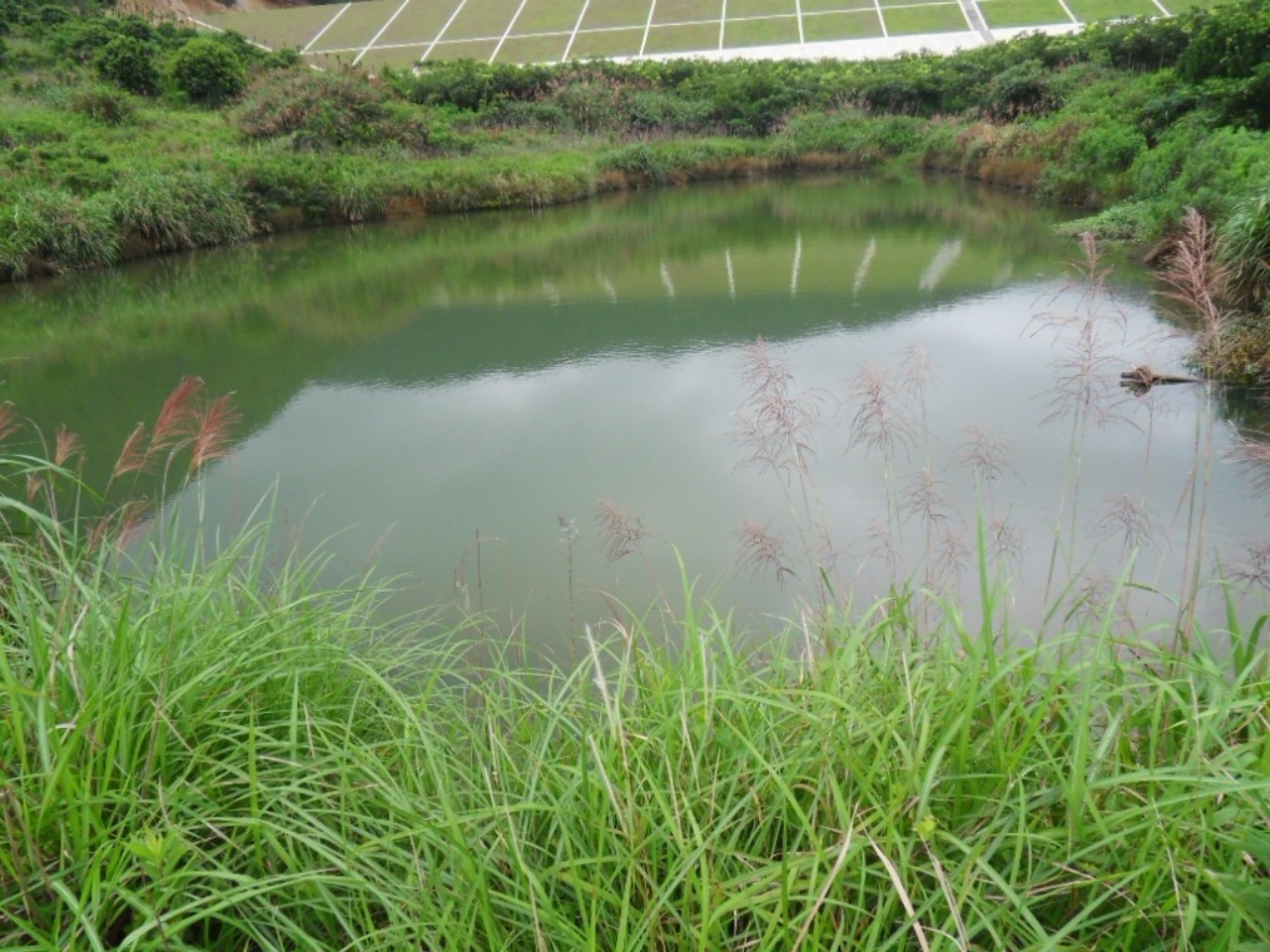 陈步洞水库