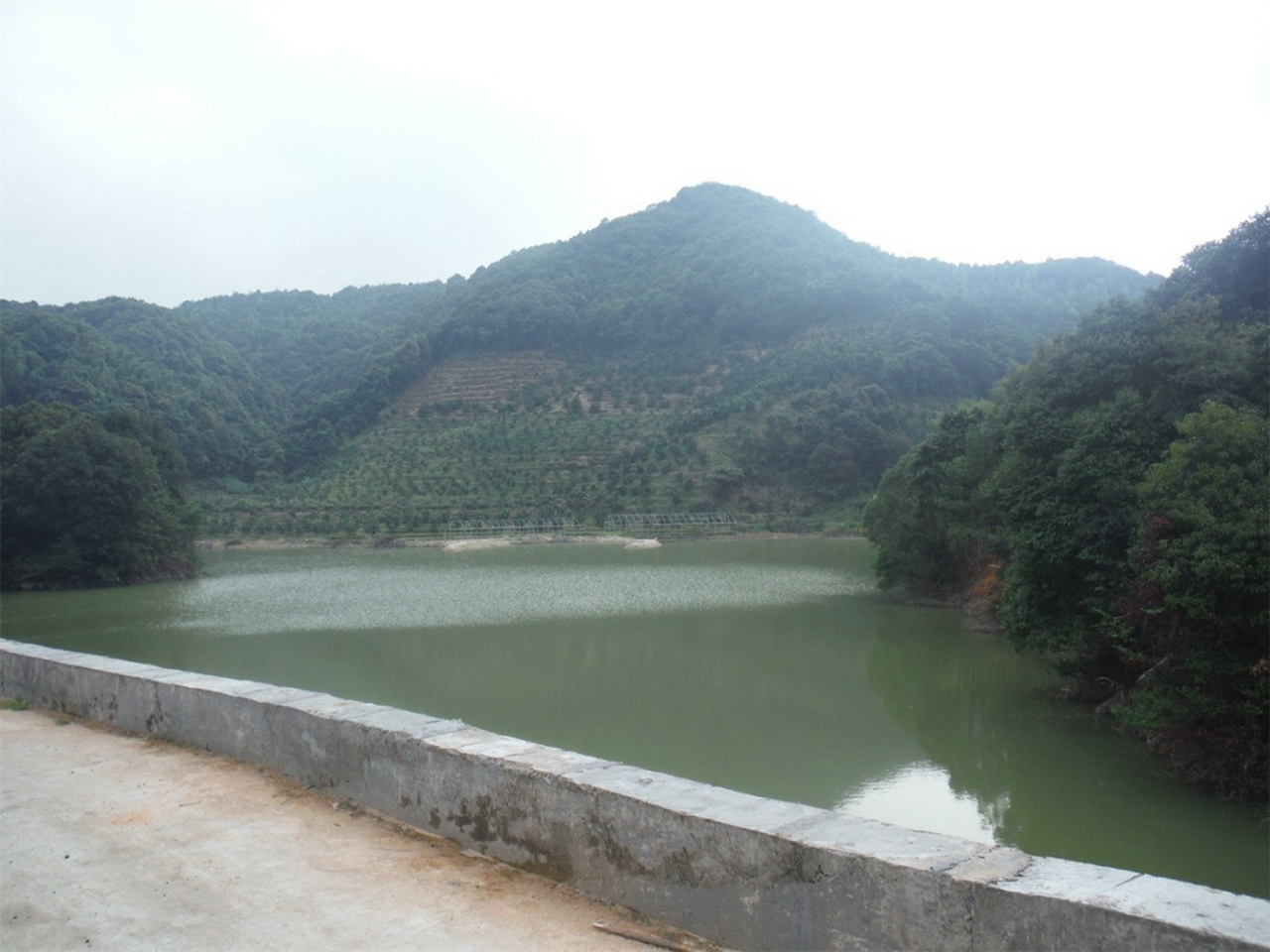 山沟坪水库