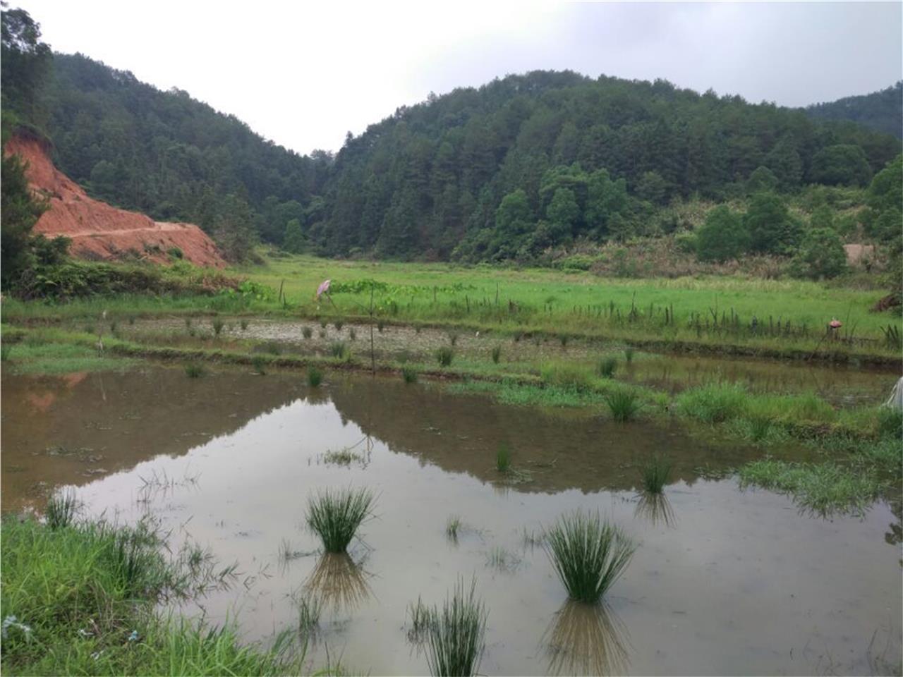 下长岭头夹山塘