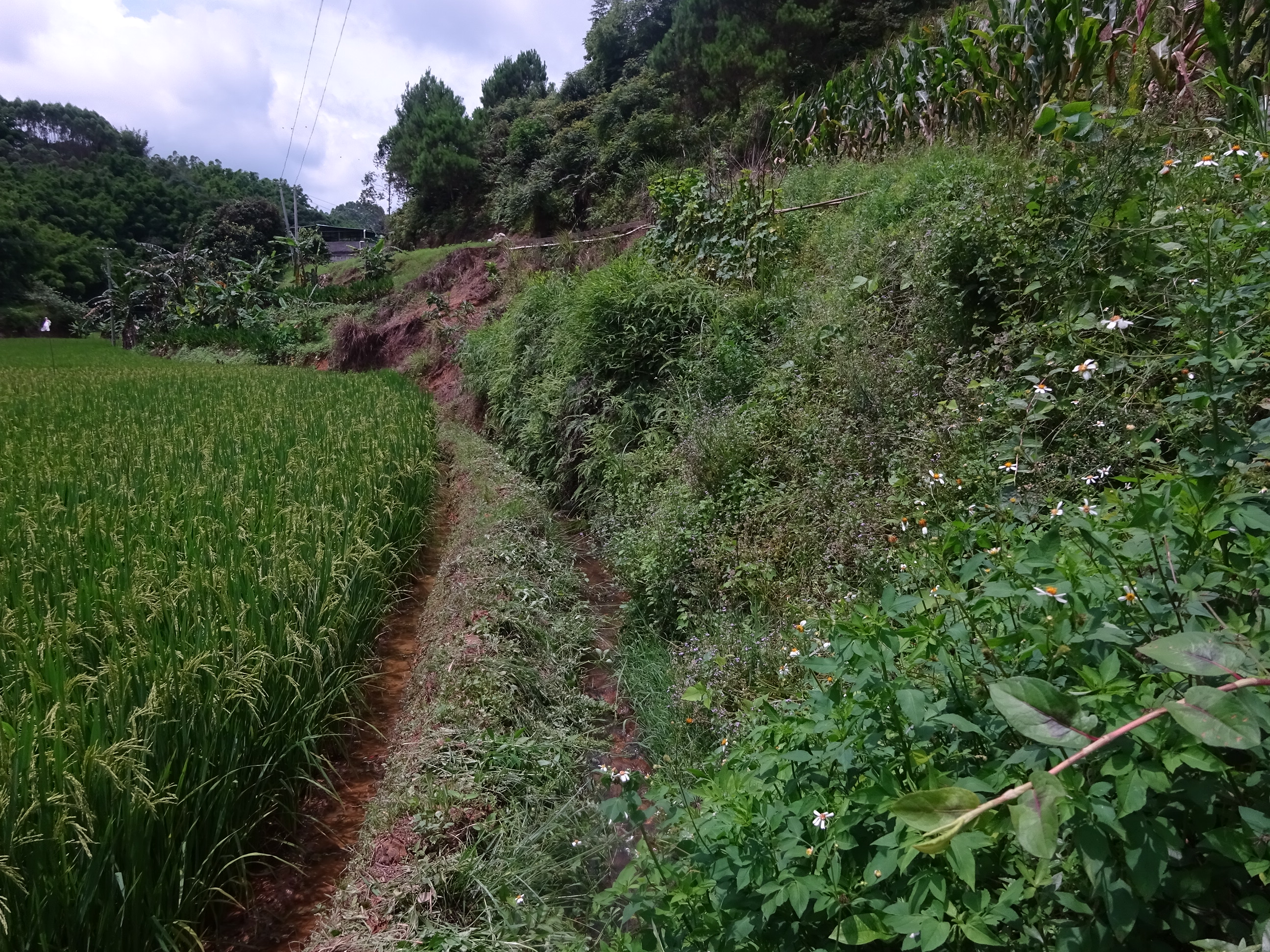 黎屋河