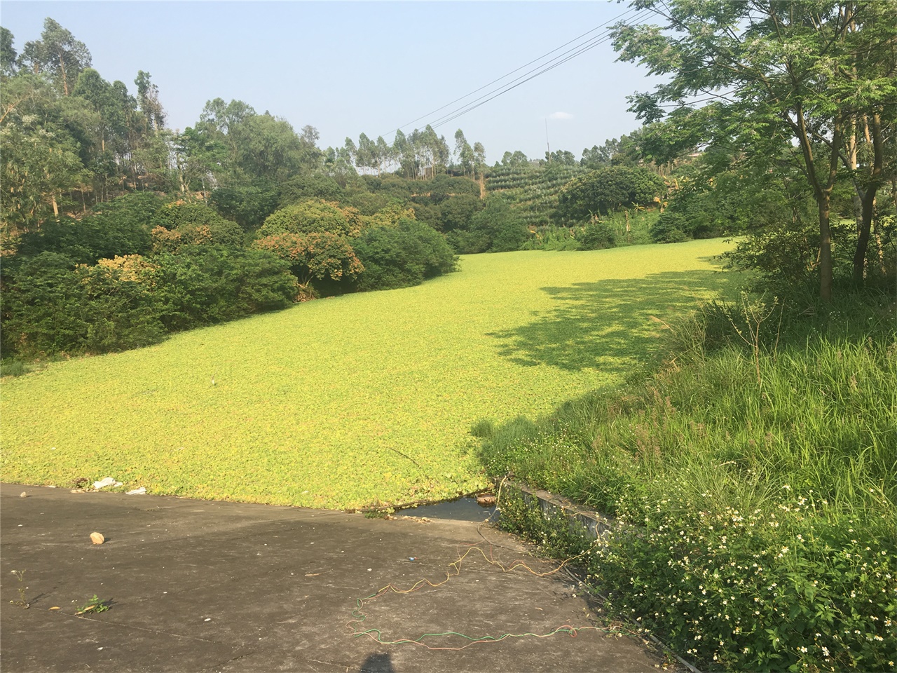 陆黄水库