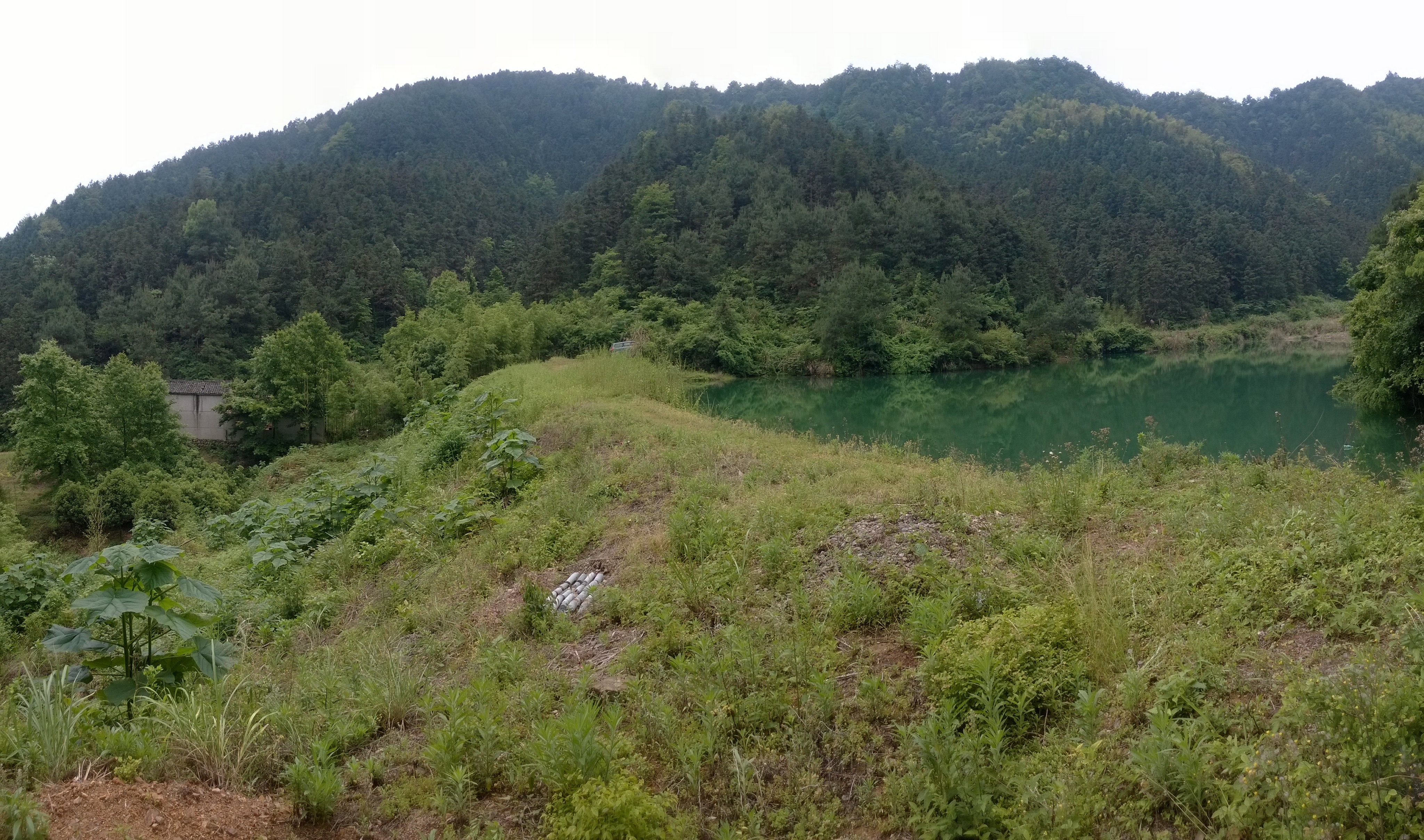 寺坞山塘