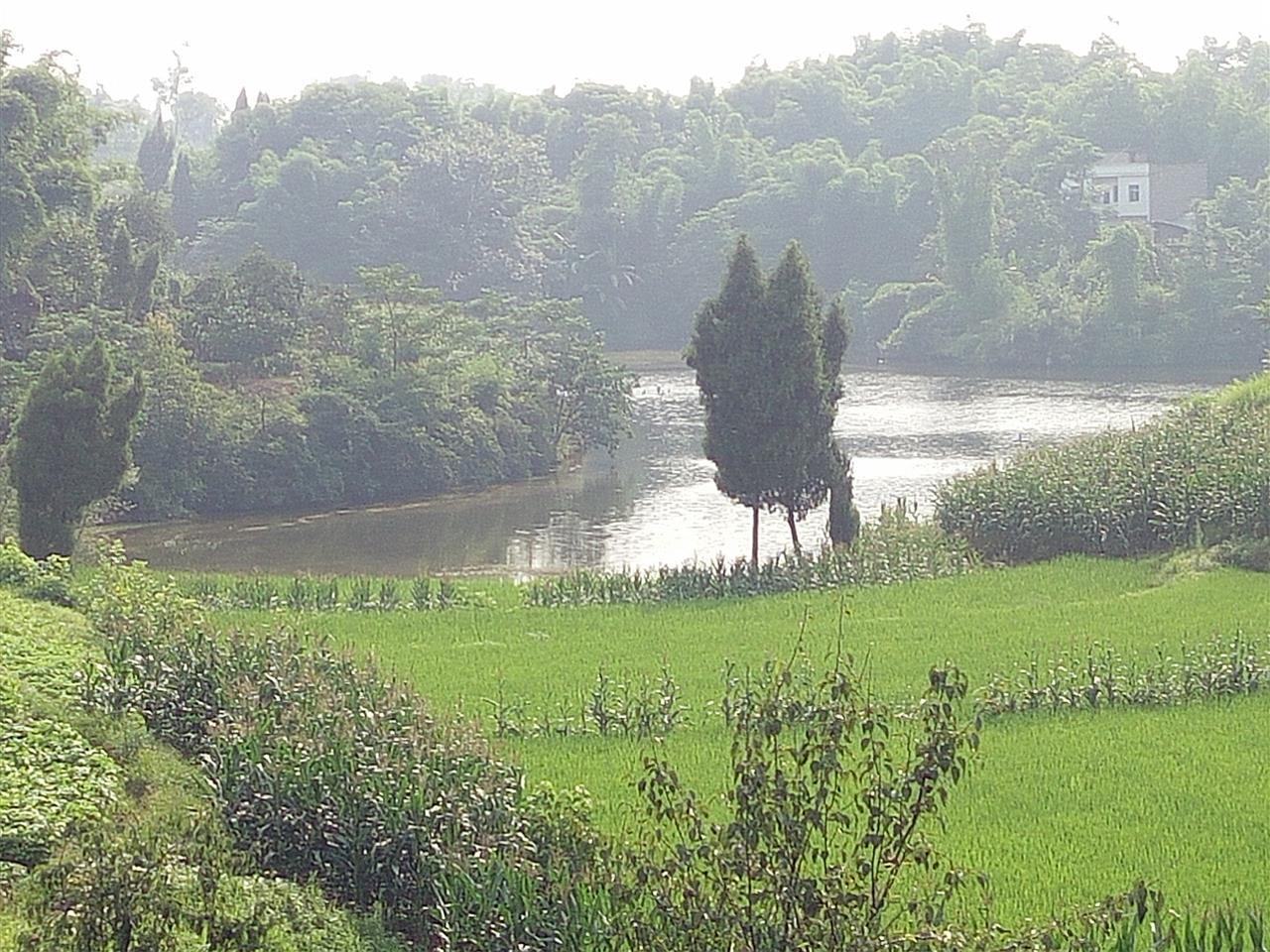 王家岩水库