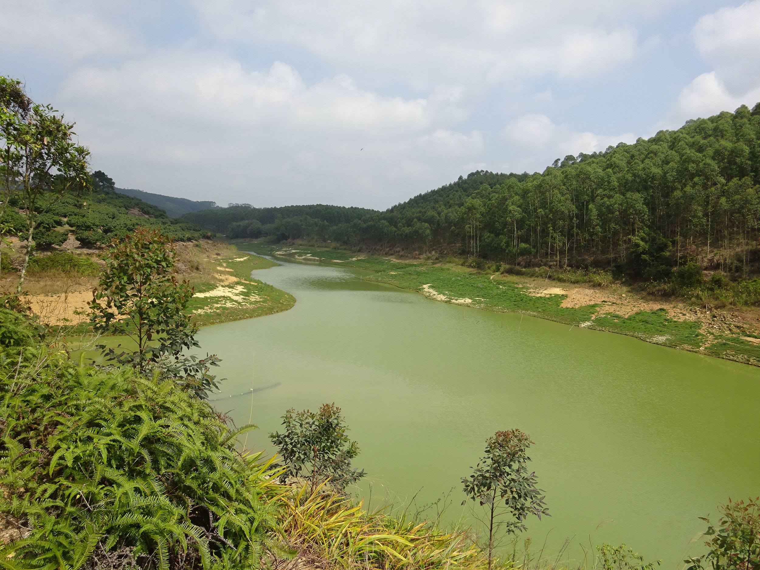 大坡境水库