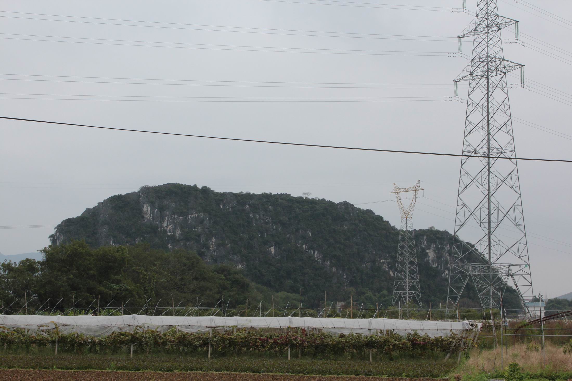 横山洲