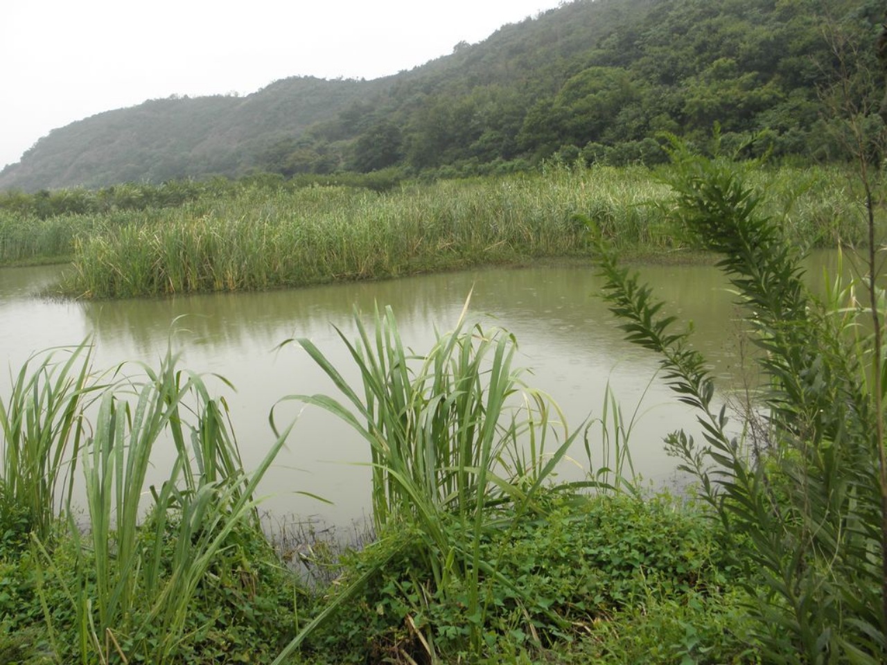 戴家岙水库