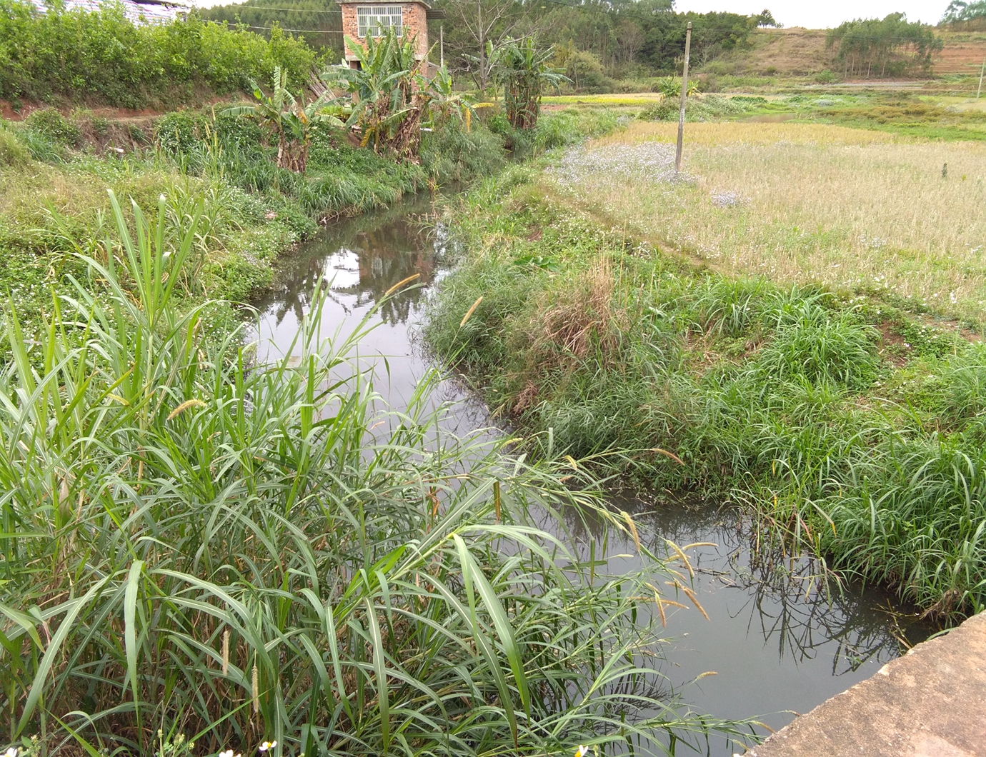 马峦江