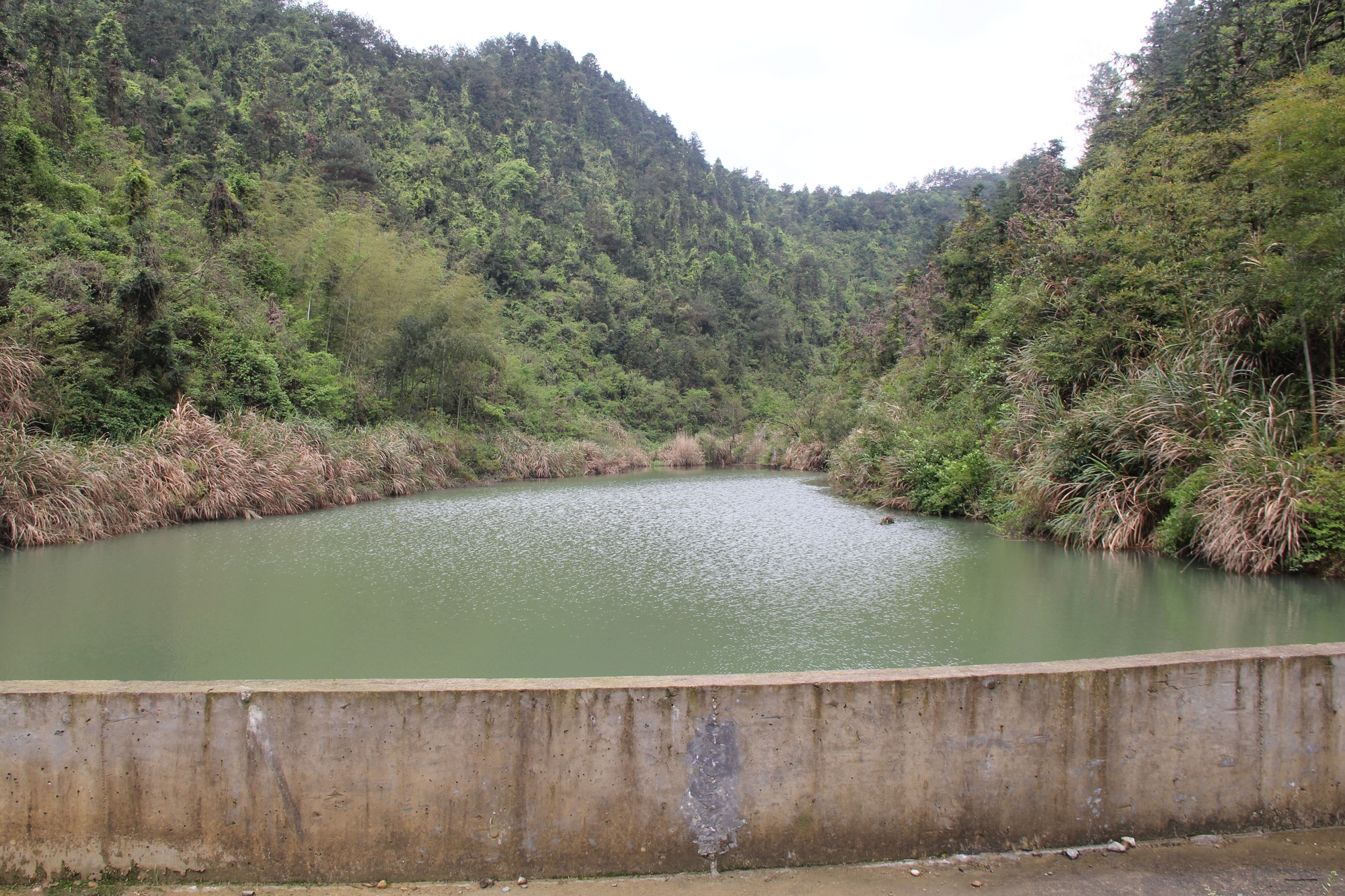 新龙塘坞山塘