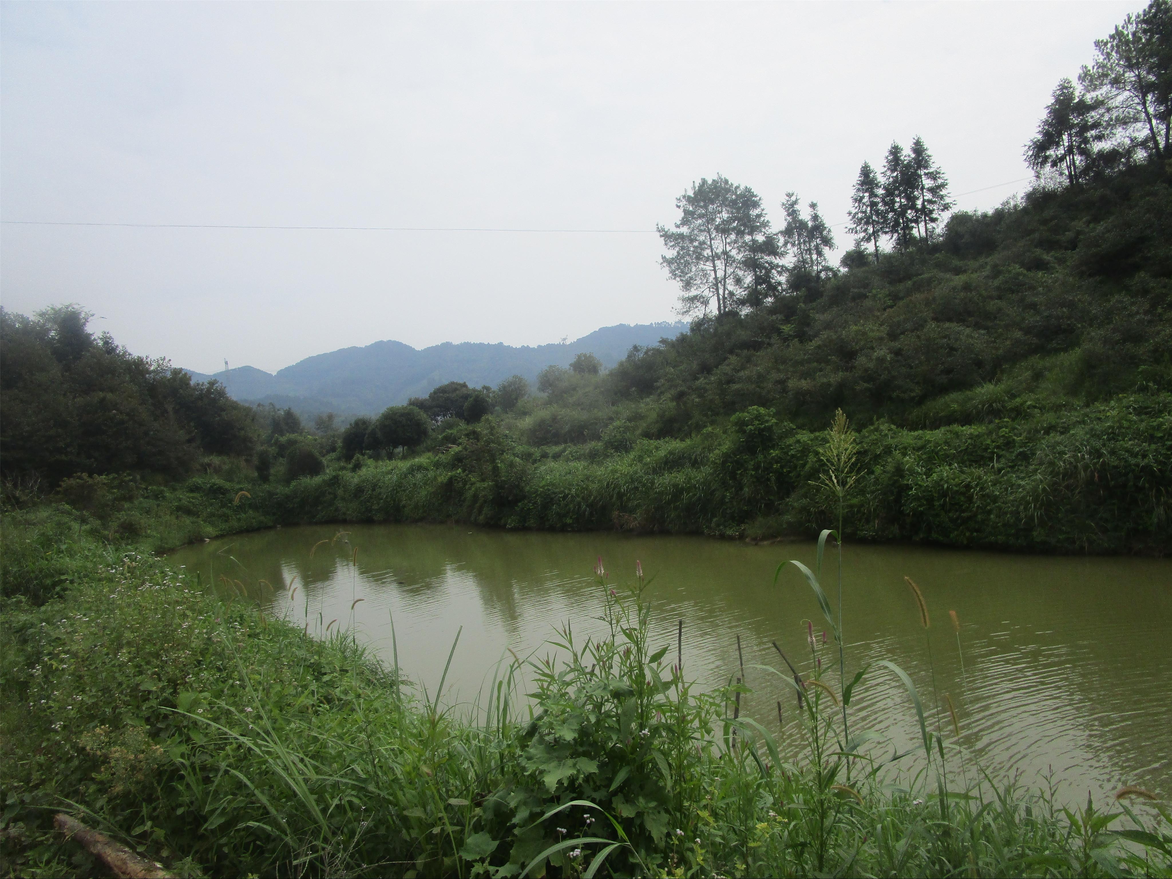 野荣冲水库