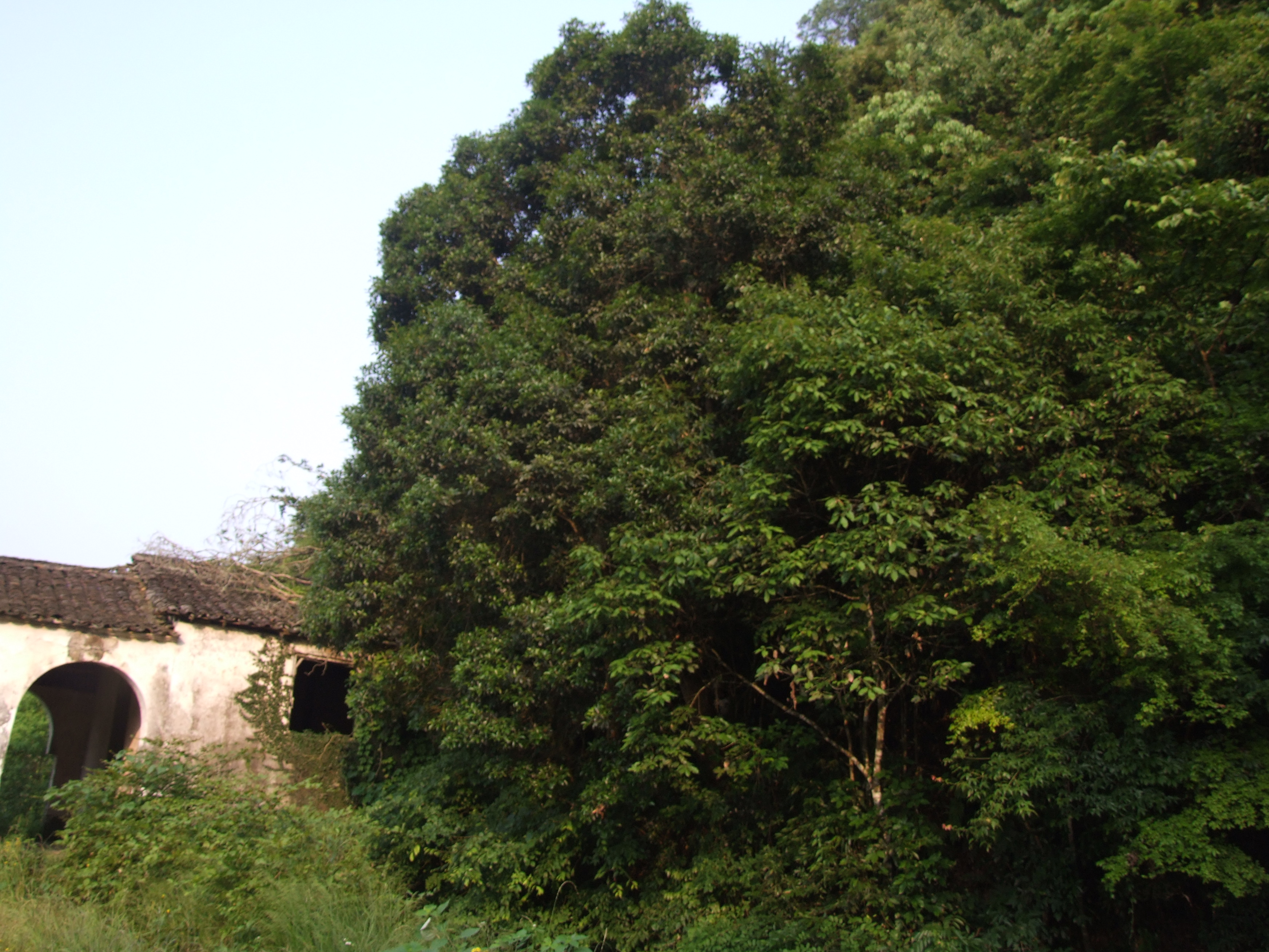 天马山自然保护小区