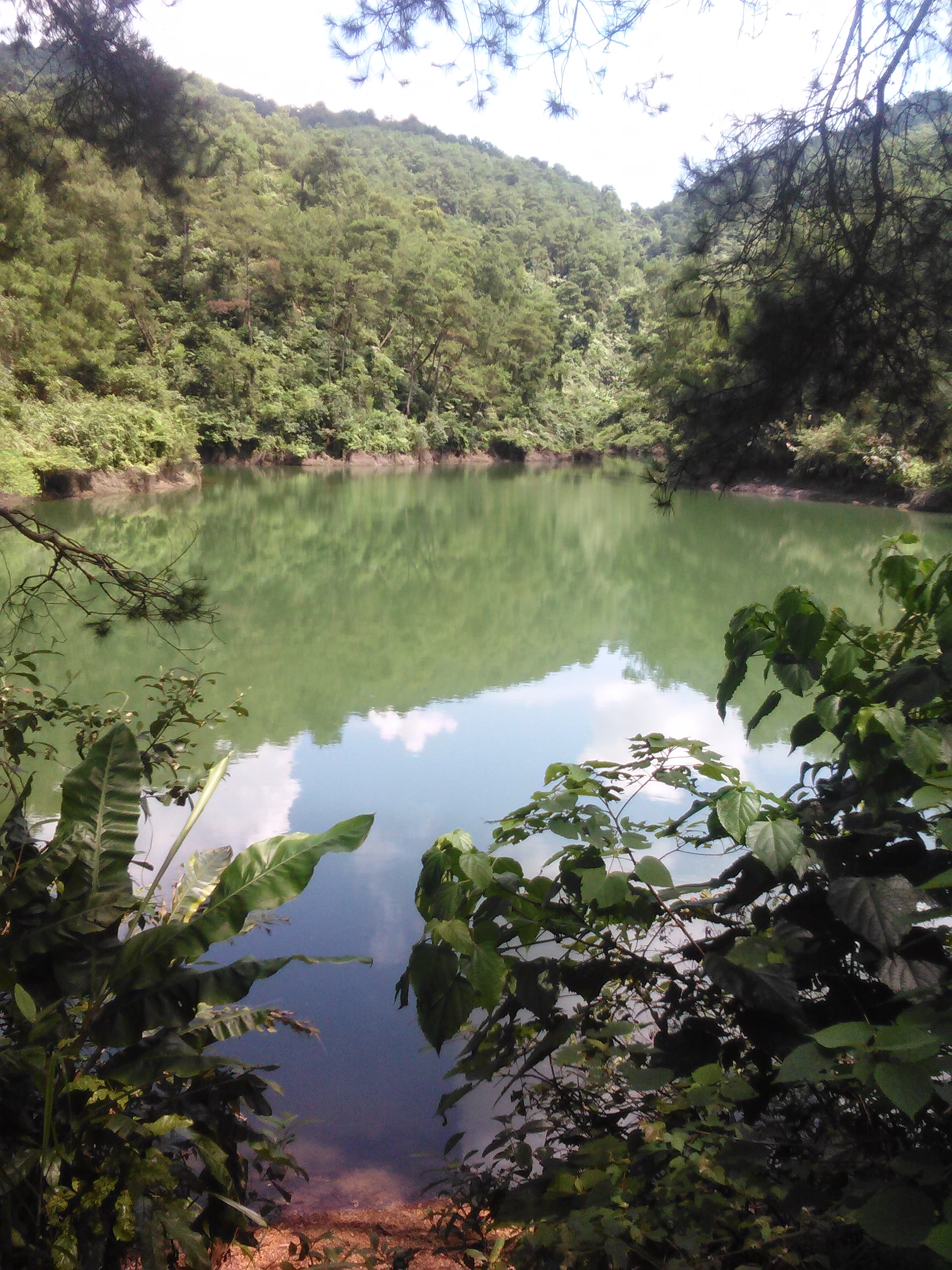 鸭髻李冲水库