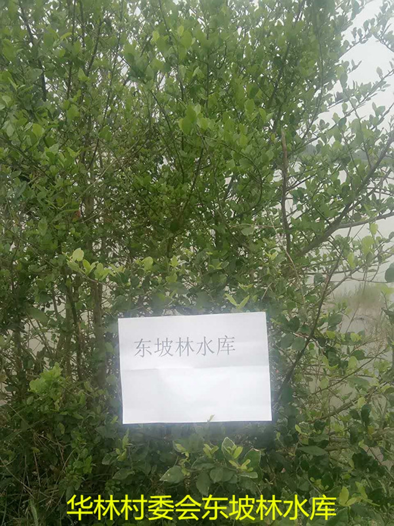 东坡林水库