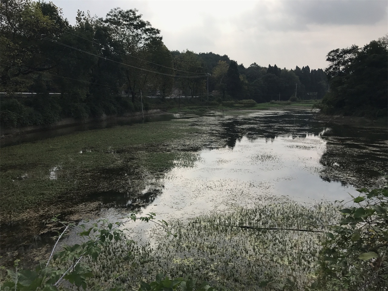 麻芝氮水库