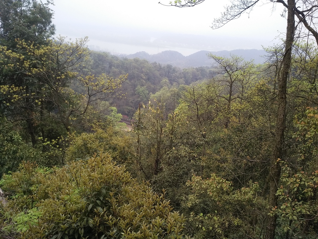 桃花源风景名胜区