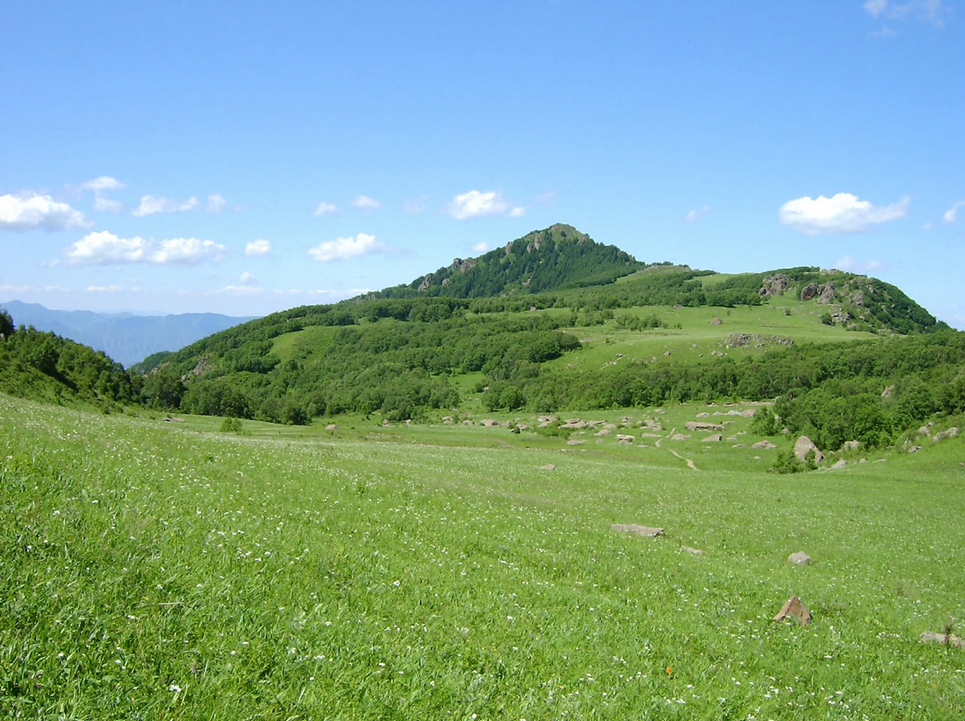 五台山高山草甸自然保护区