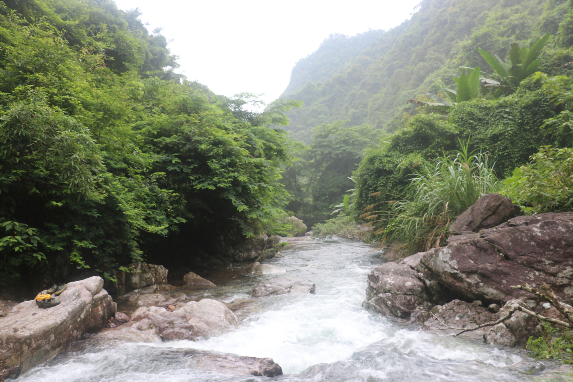 坪冲河