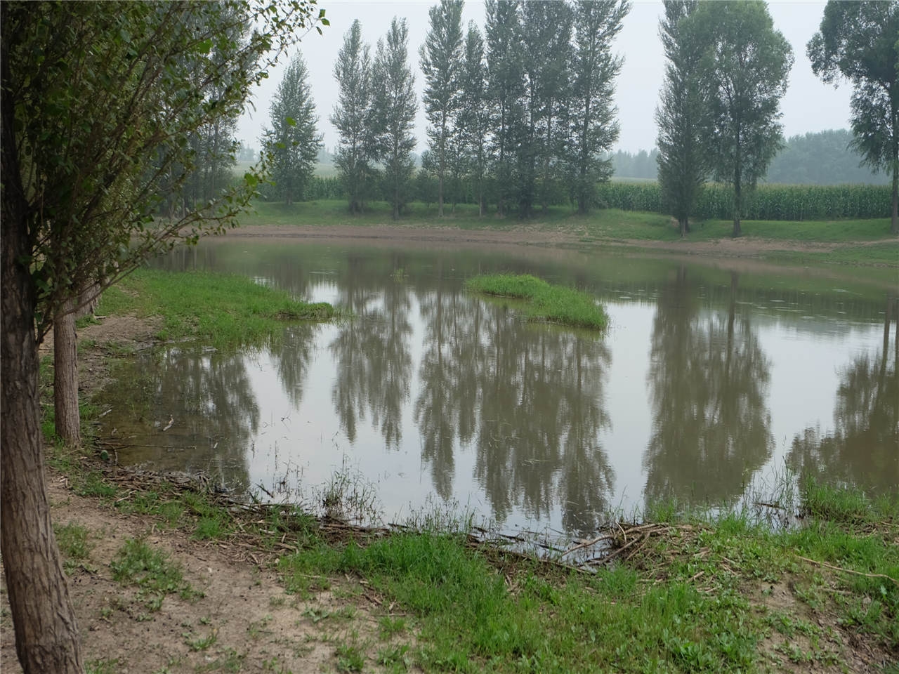 前柳条沟水库