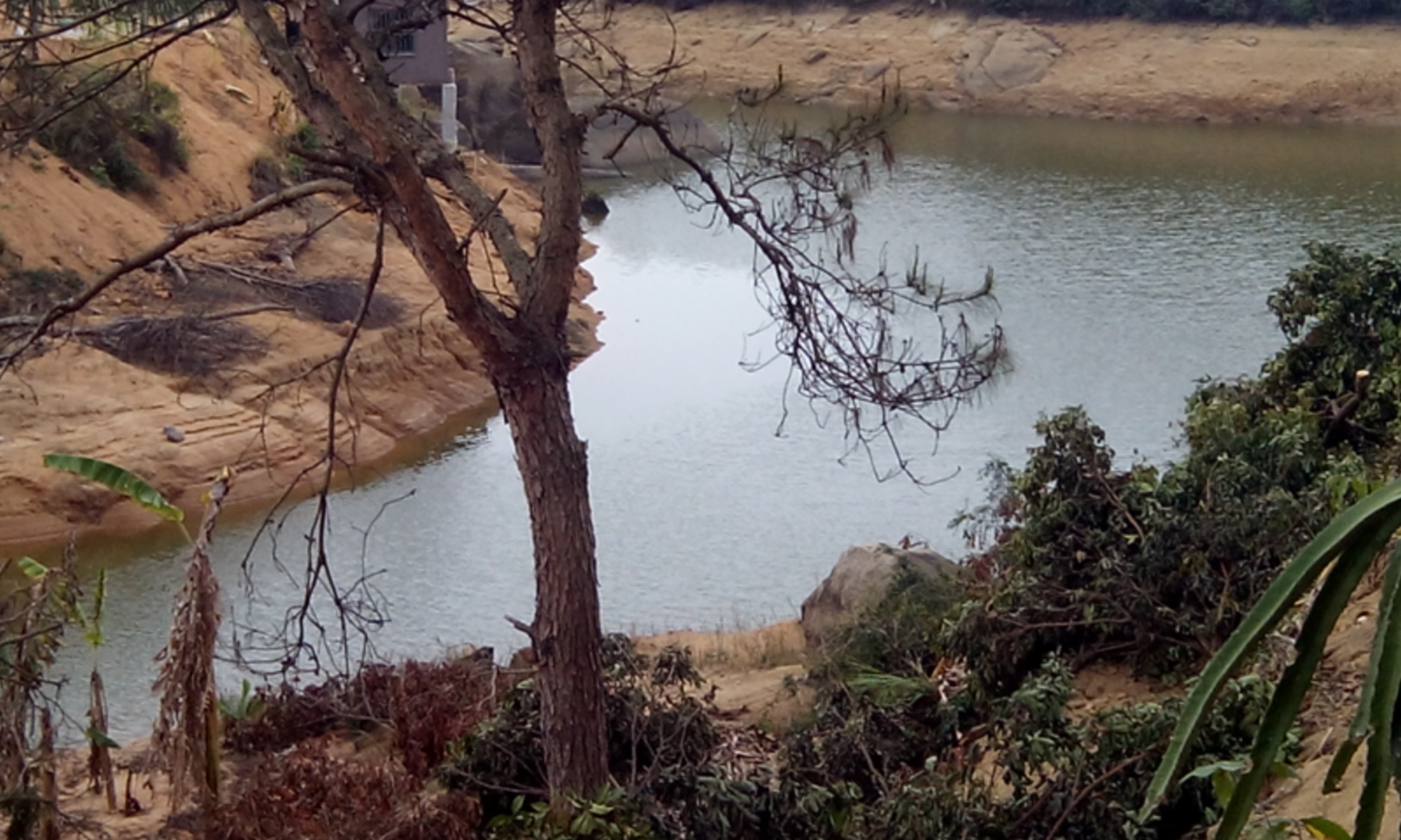 青湖水库