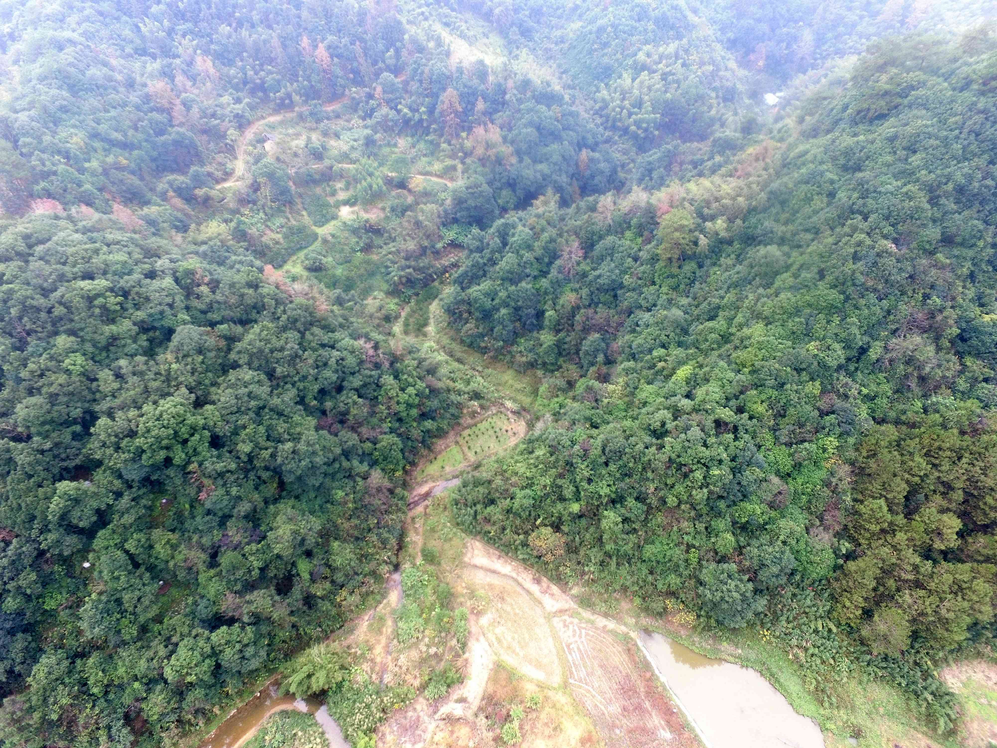 小架马冲河