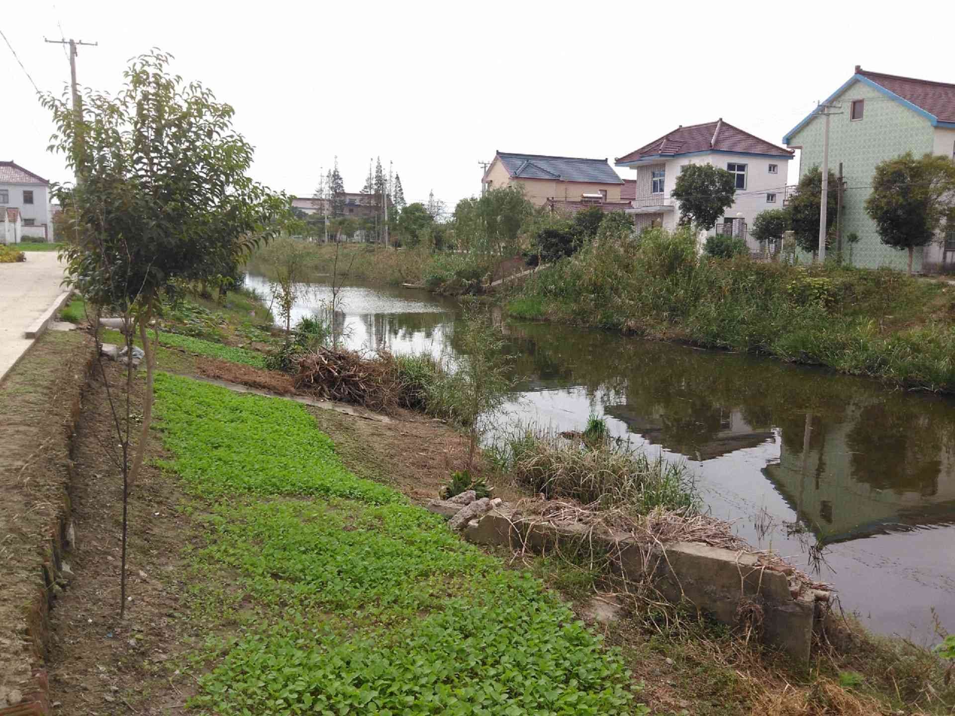 马路河