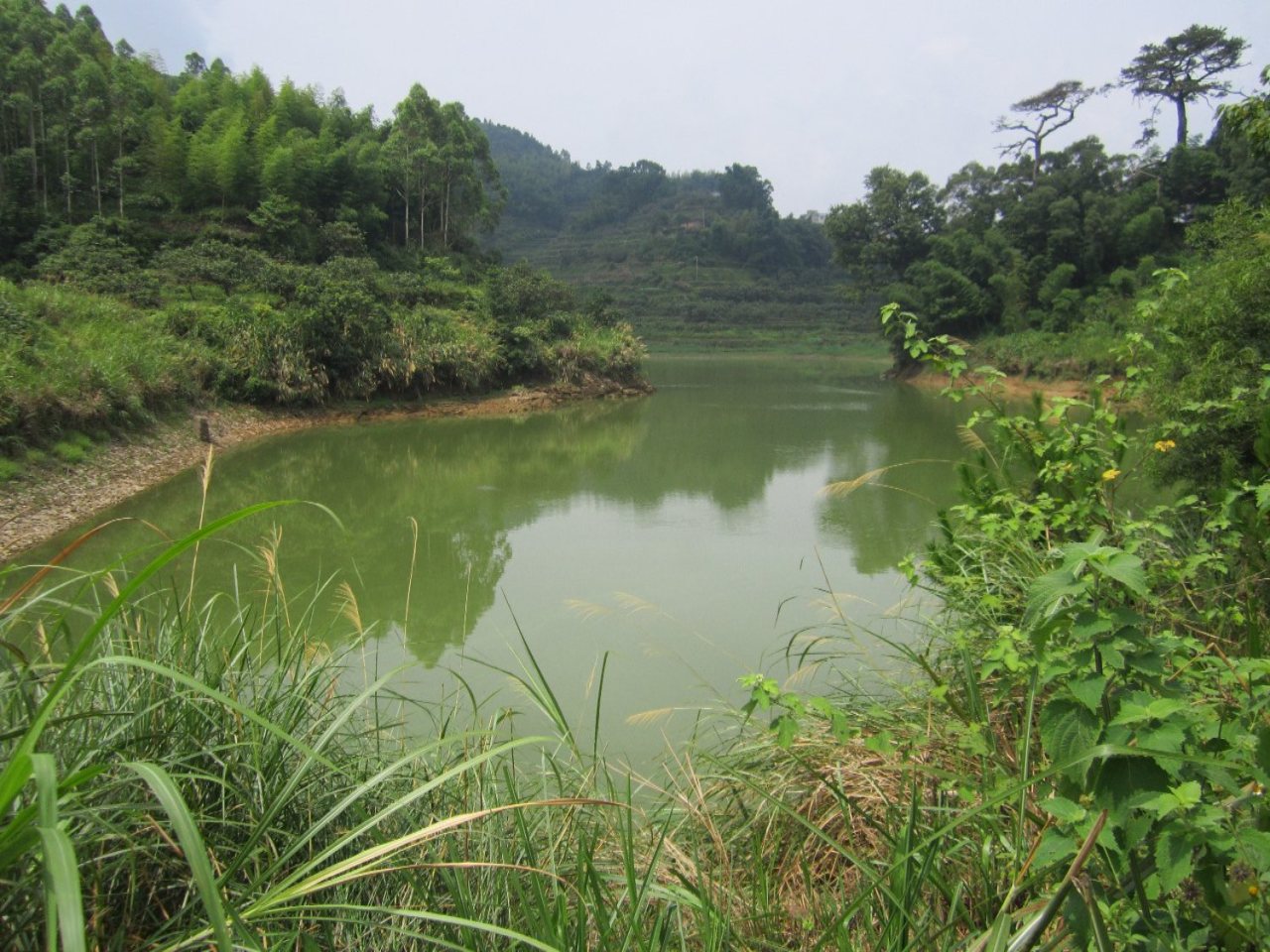 东尾水库