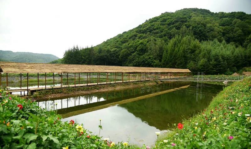 清原满族自治县大北岔风景区