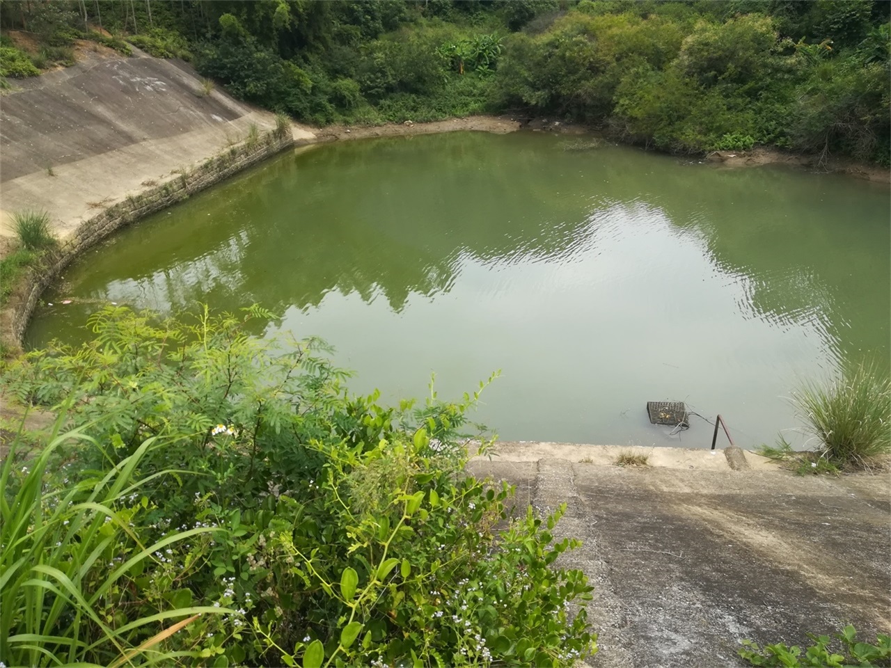 鸟仔地水库