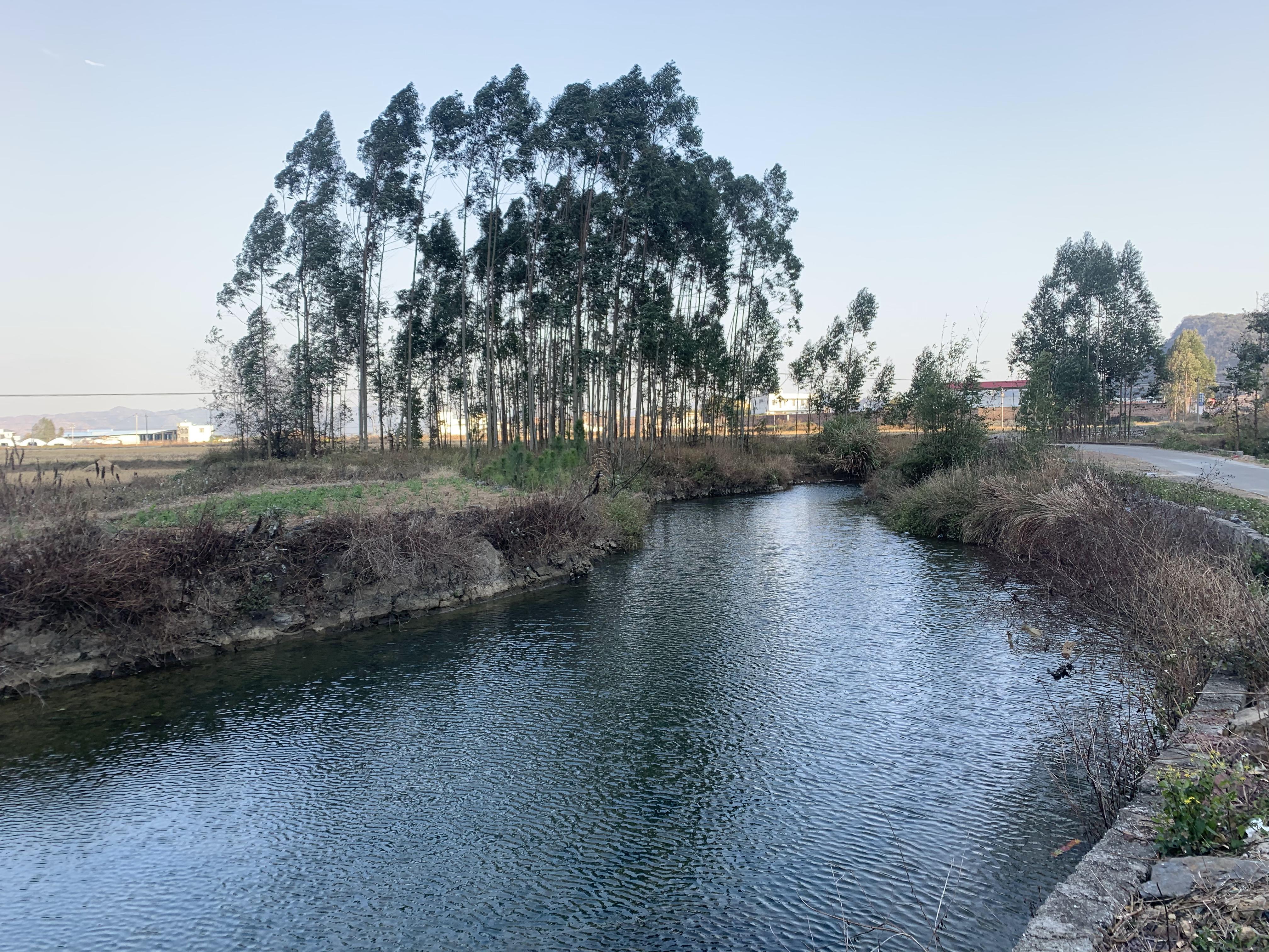 大洞河