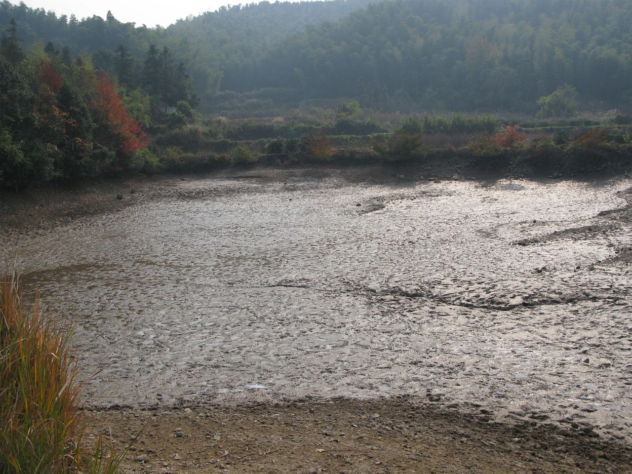 埂岙山塘