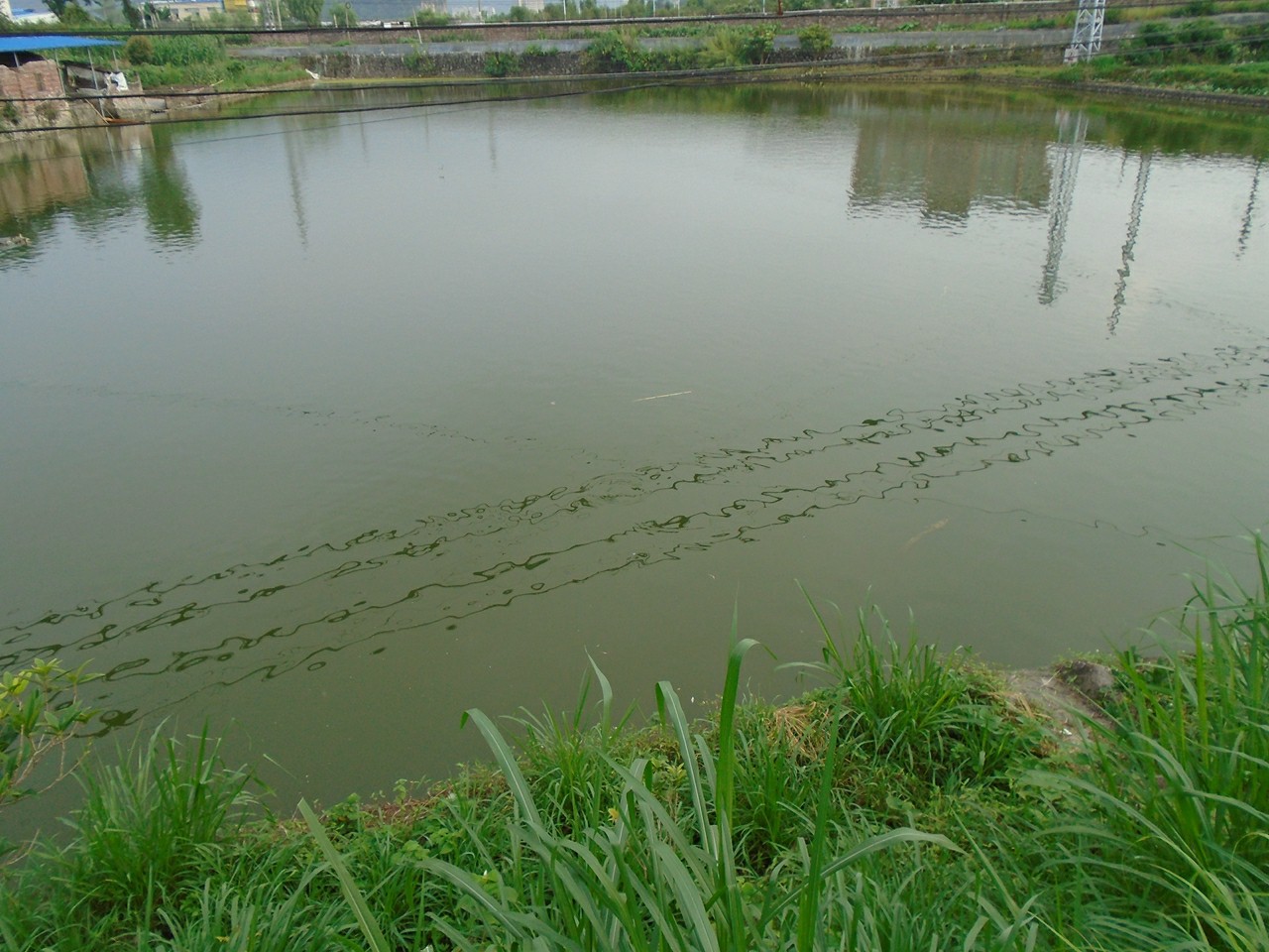 白水坑水库