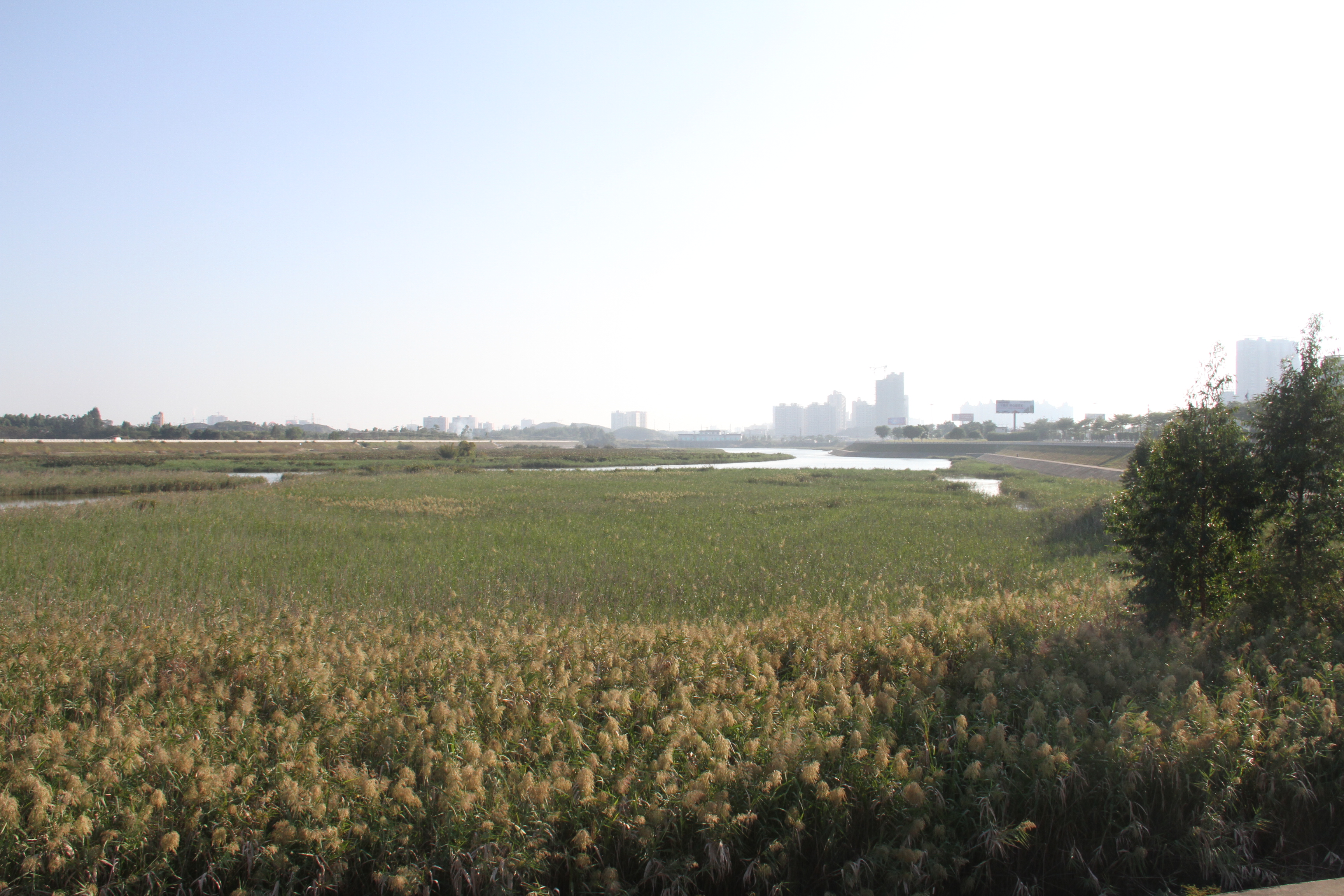 沙潭江
