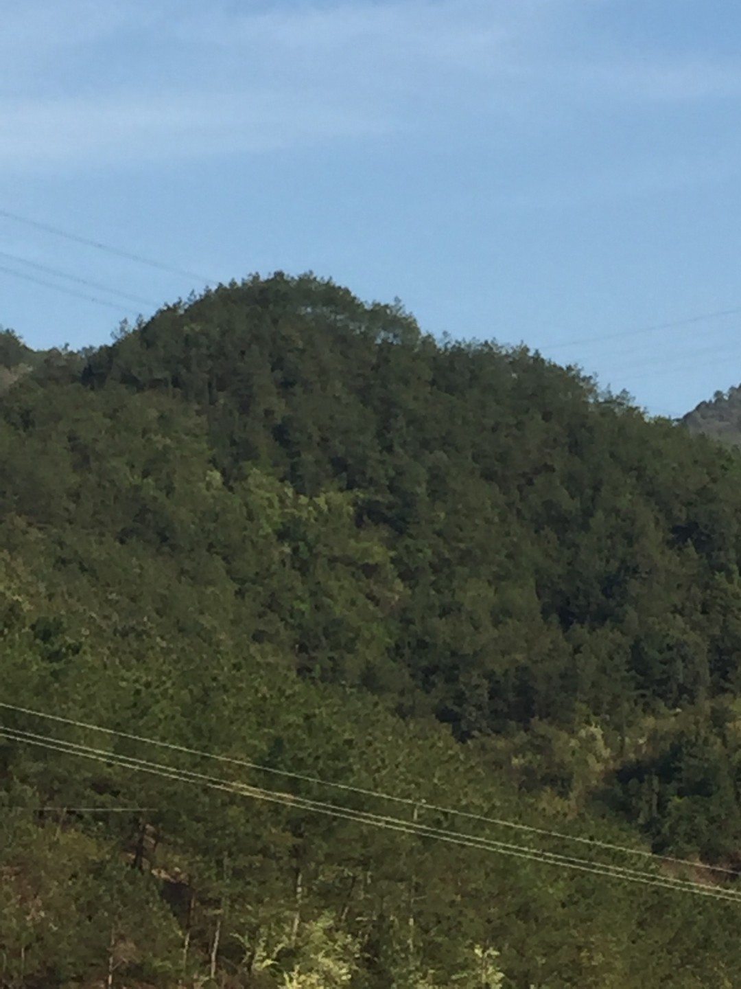 前山岗风景区